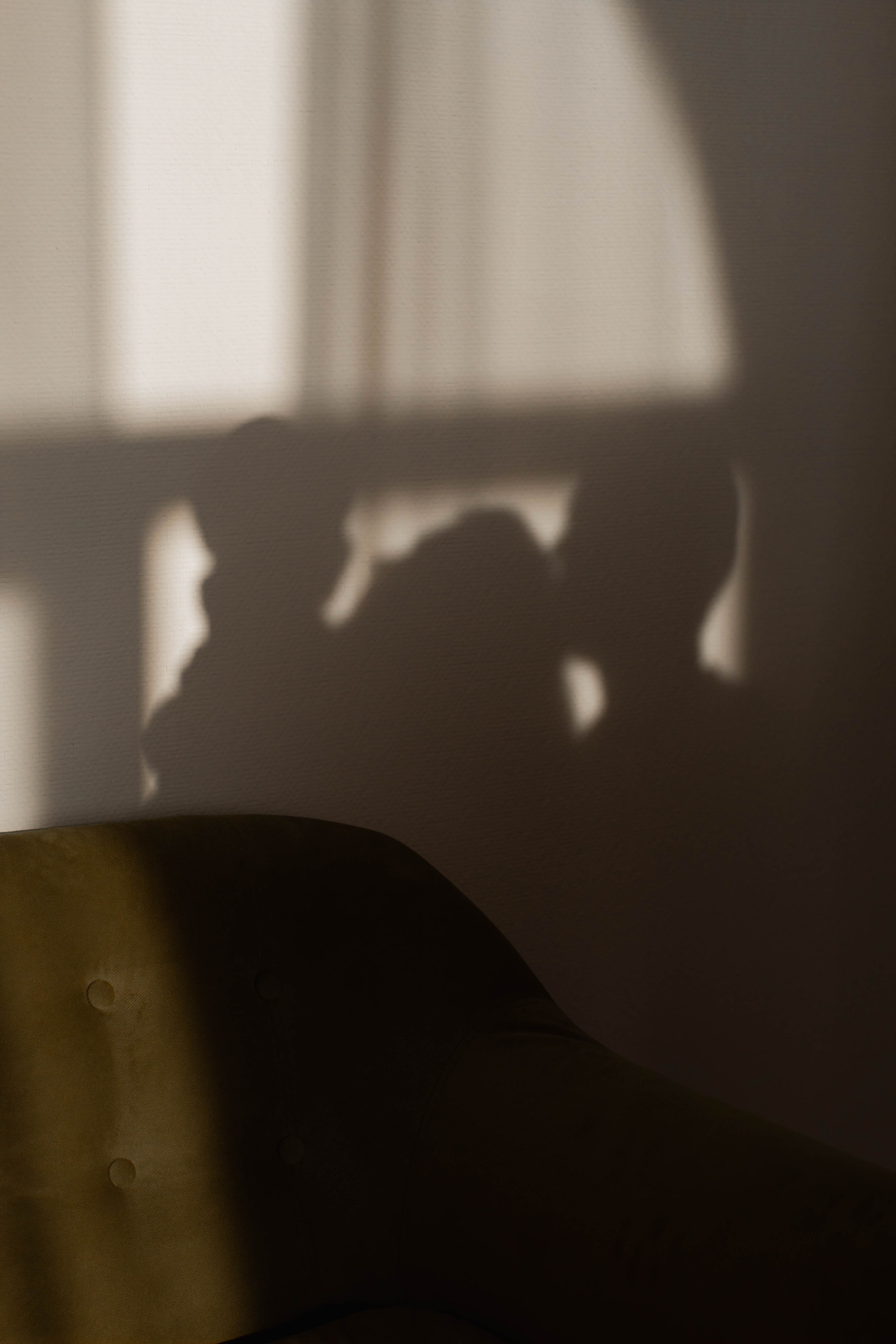 Семейная съемка. VLADA KACHANINA. Семейный/индивидуальный Фотограф Новосибирск