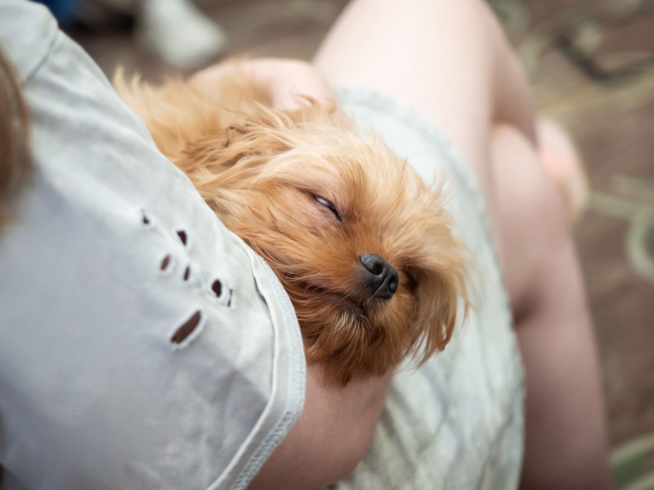 Конференция психологов. Алёна Орлова Портретный фотограф Москва