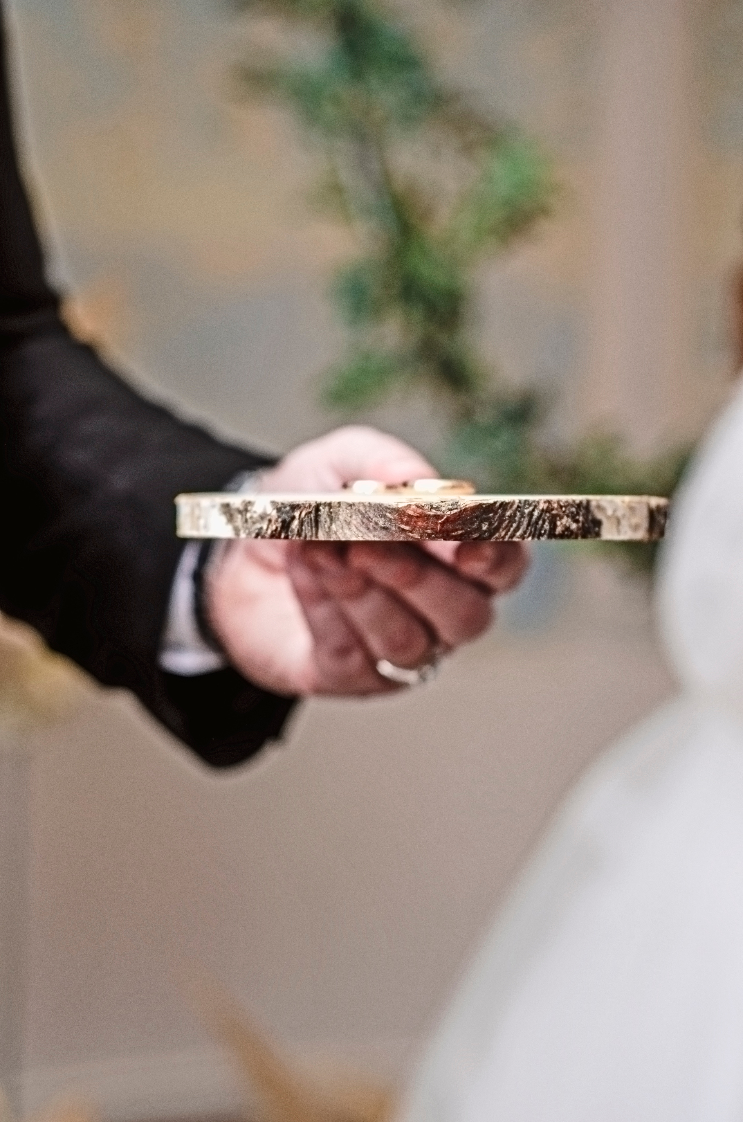 Свадебные фотосессии в Новосибирске и области. Фотографы для фотосессий в Новосибирске