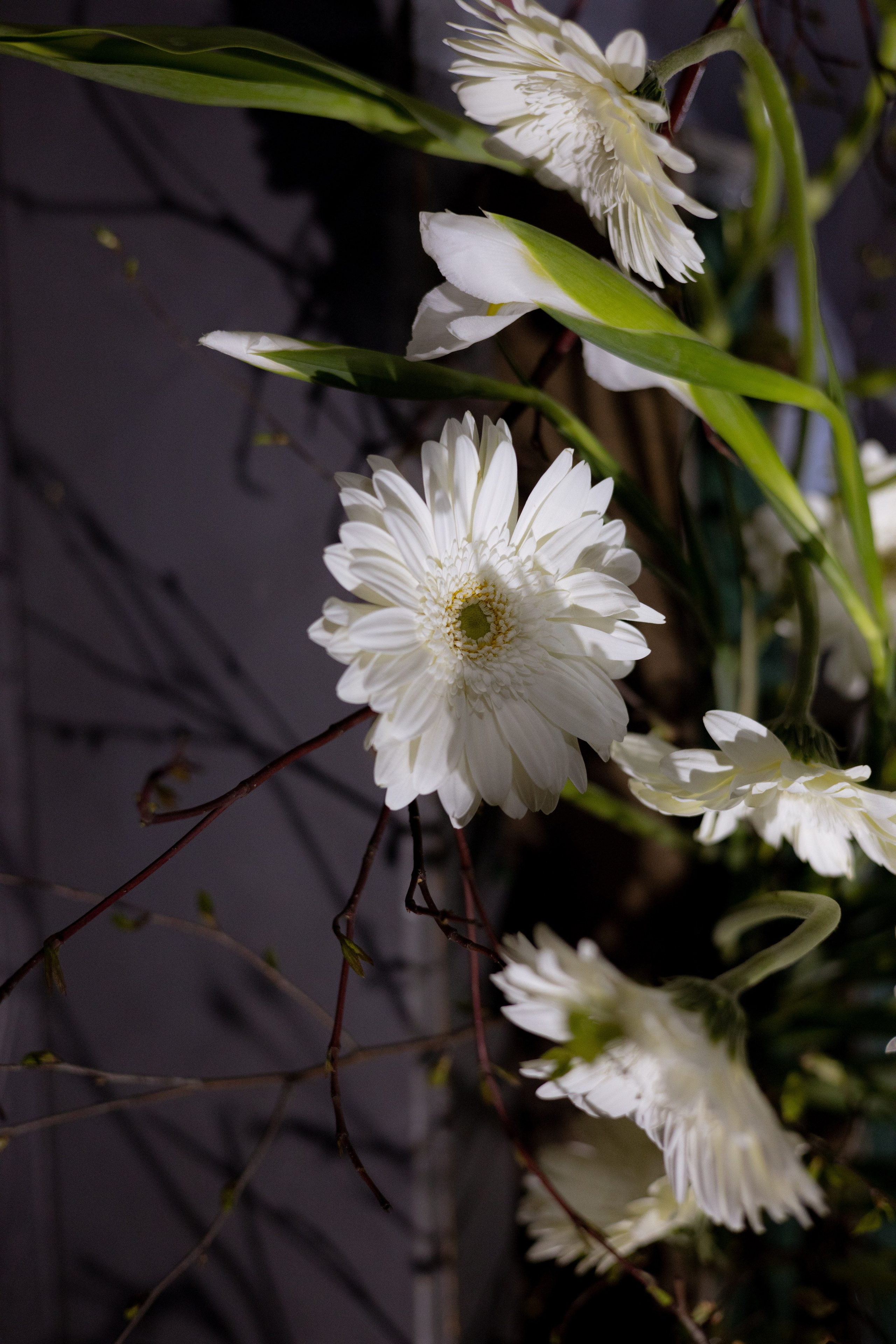 Оформление Отчетного концерта Музыкальной школы Глазунова. Оформление свадеб, декор свадеб Вера Маркова, Москва