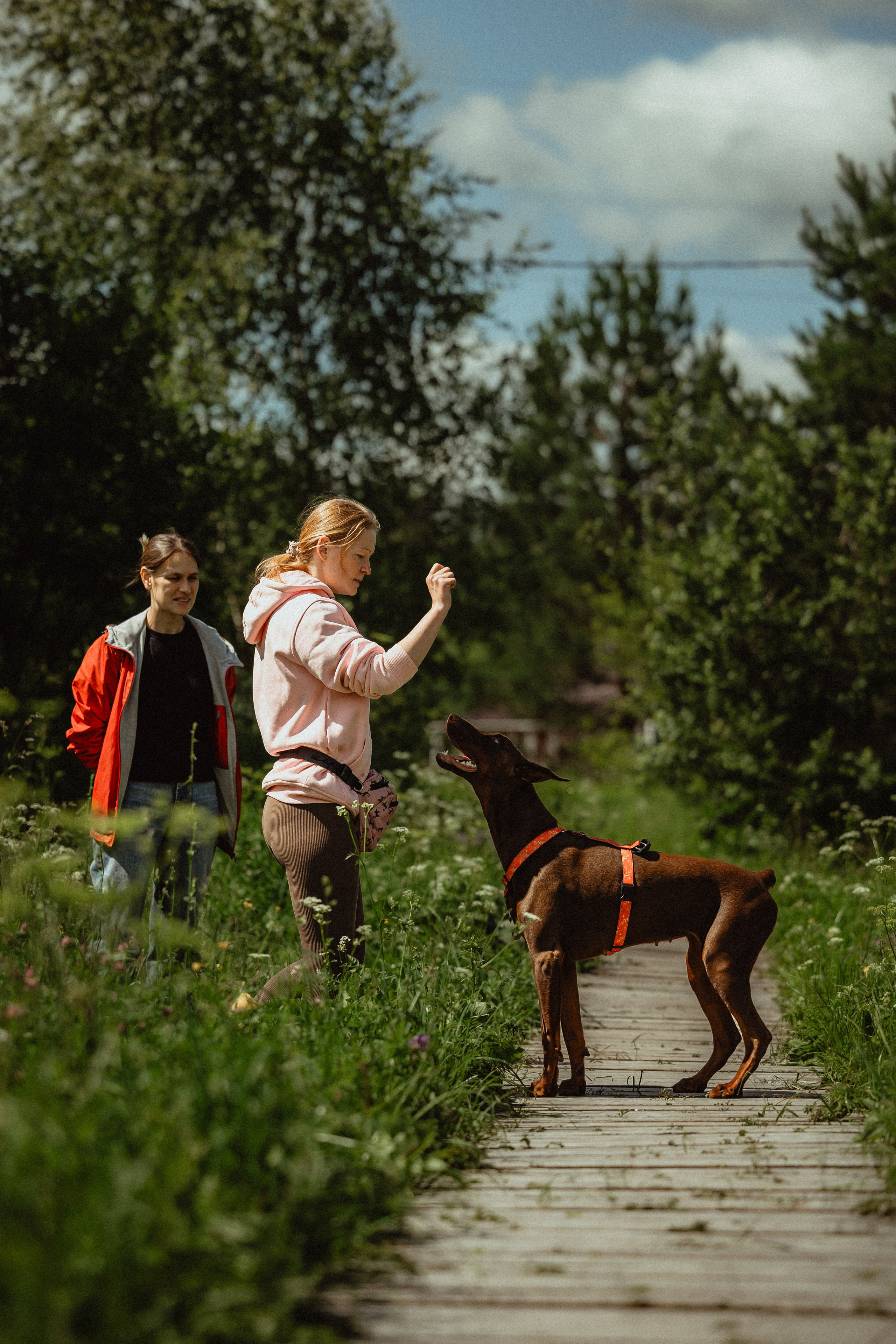 Выездной дог-тренинг от школы «Шерсть имею»