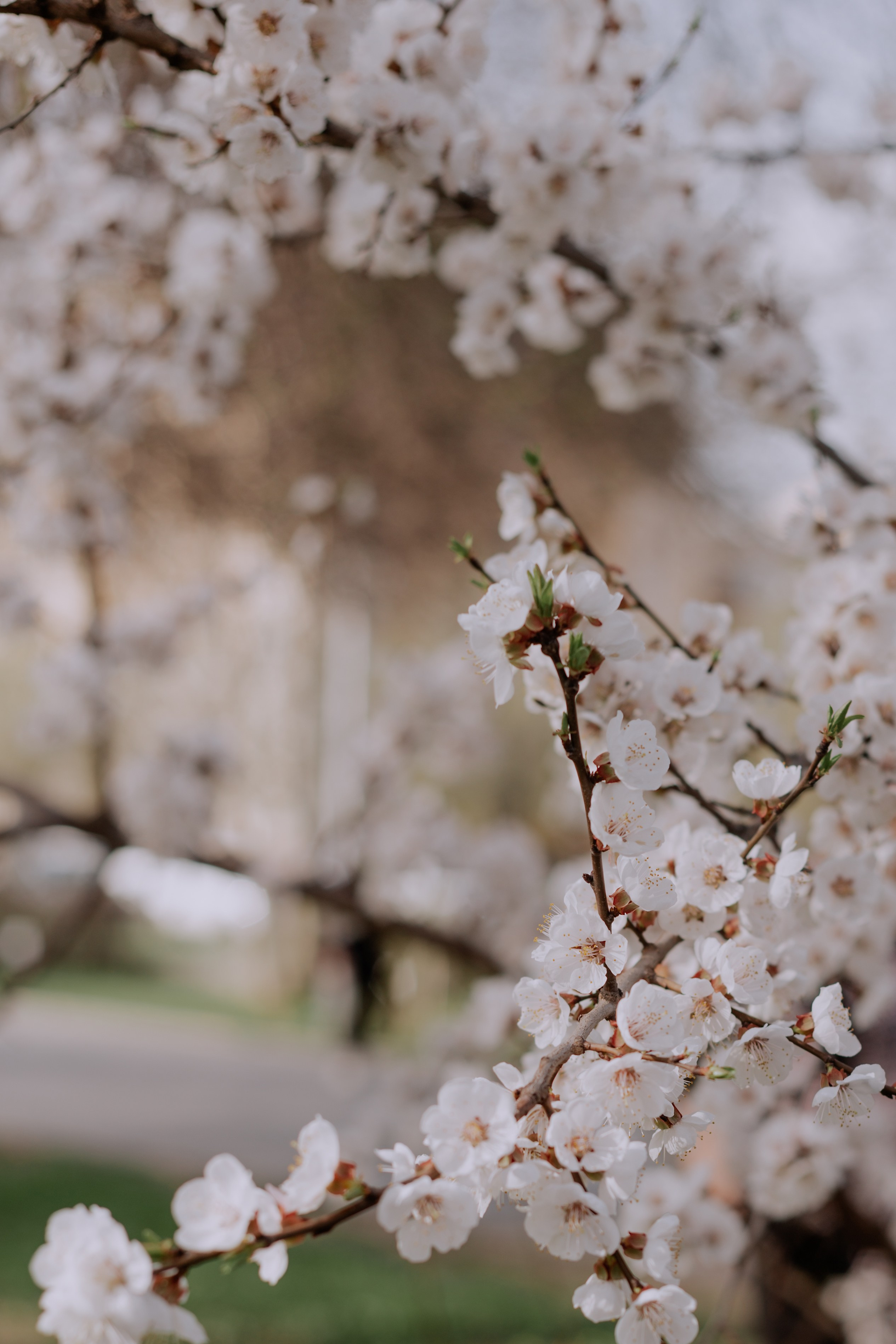 Анастасия, Виталий. Фотограф Волгоград Кристина Прохоренко