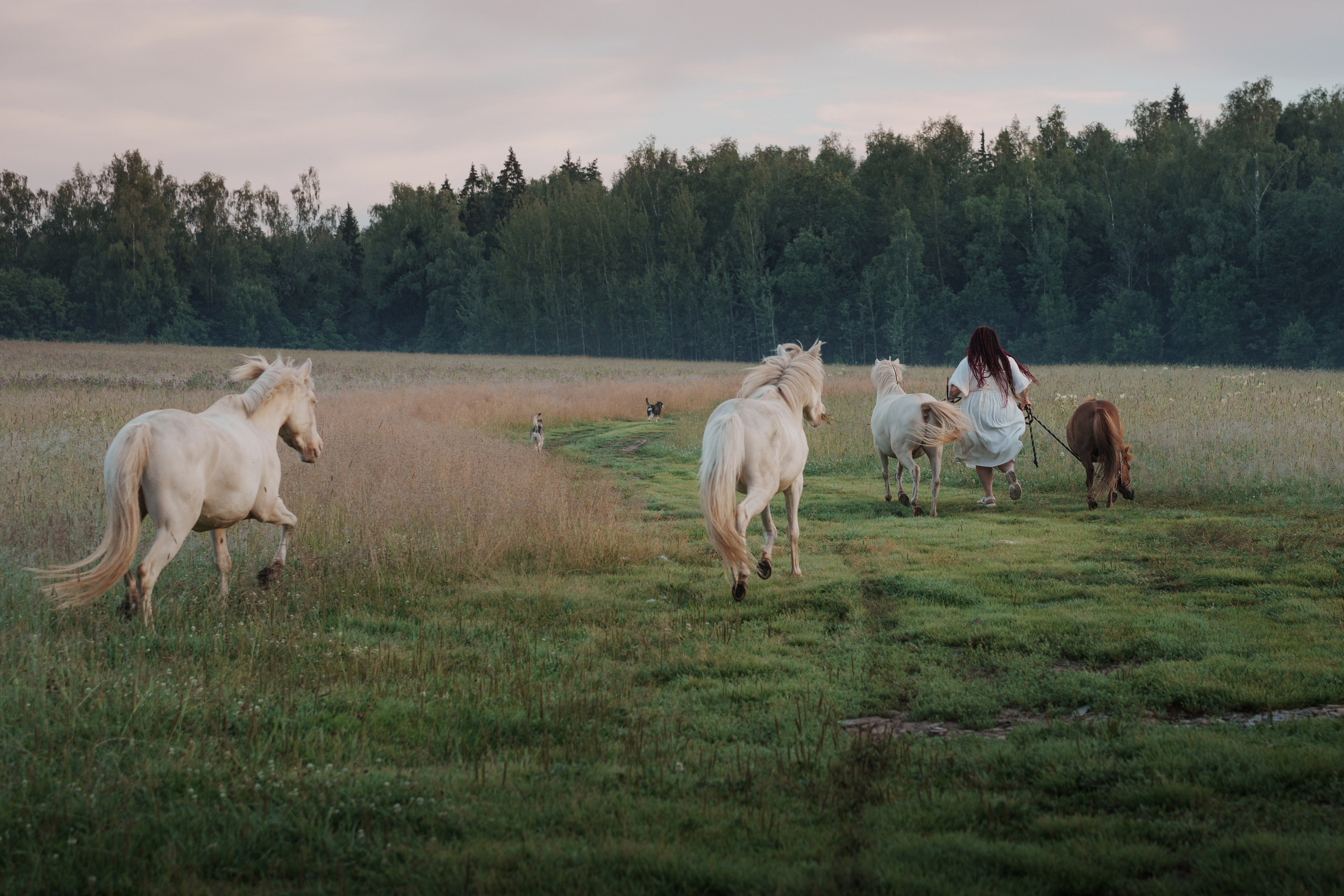 Марина. Семейный фотограф Клубкова Мария. Поместье Клу