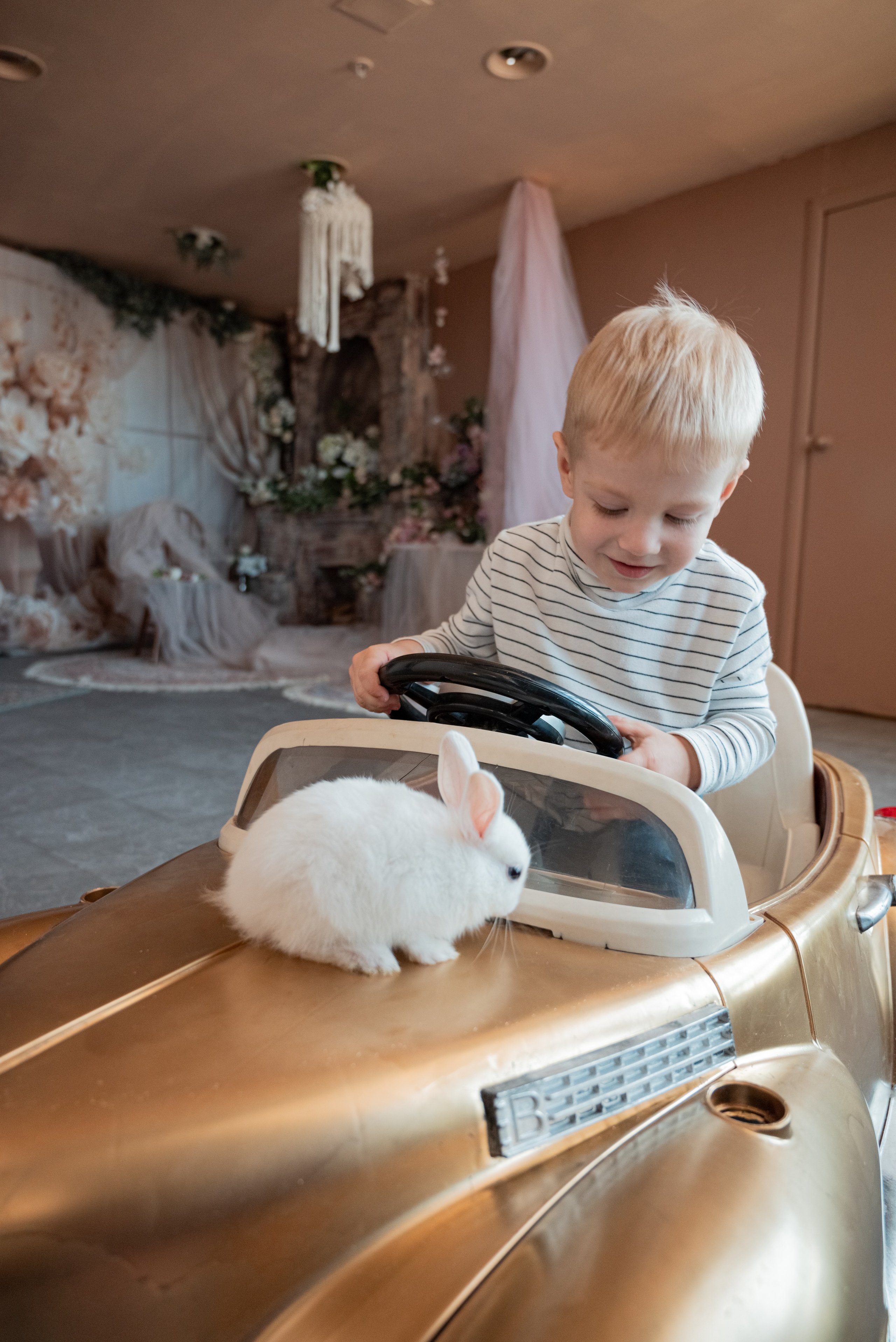 Студийные фотосессии. Свадебный и семейный фотограф Екатерина Пушан. Москва, Балашиха, Железнодорожный, Солнечногорск