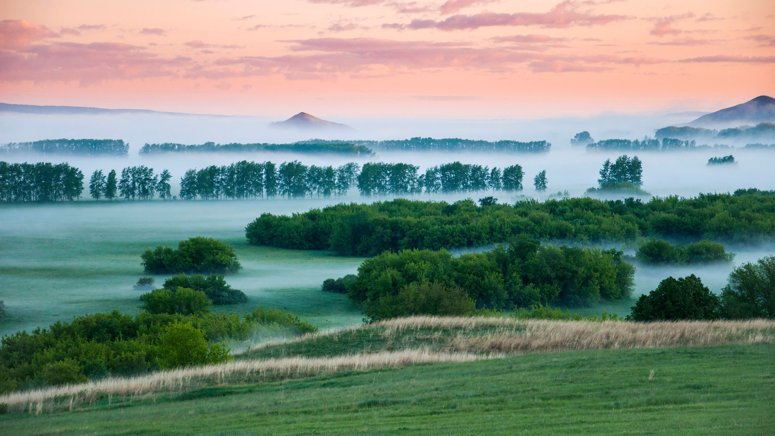 Вопросы и ответы