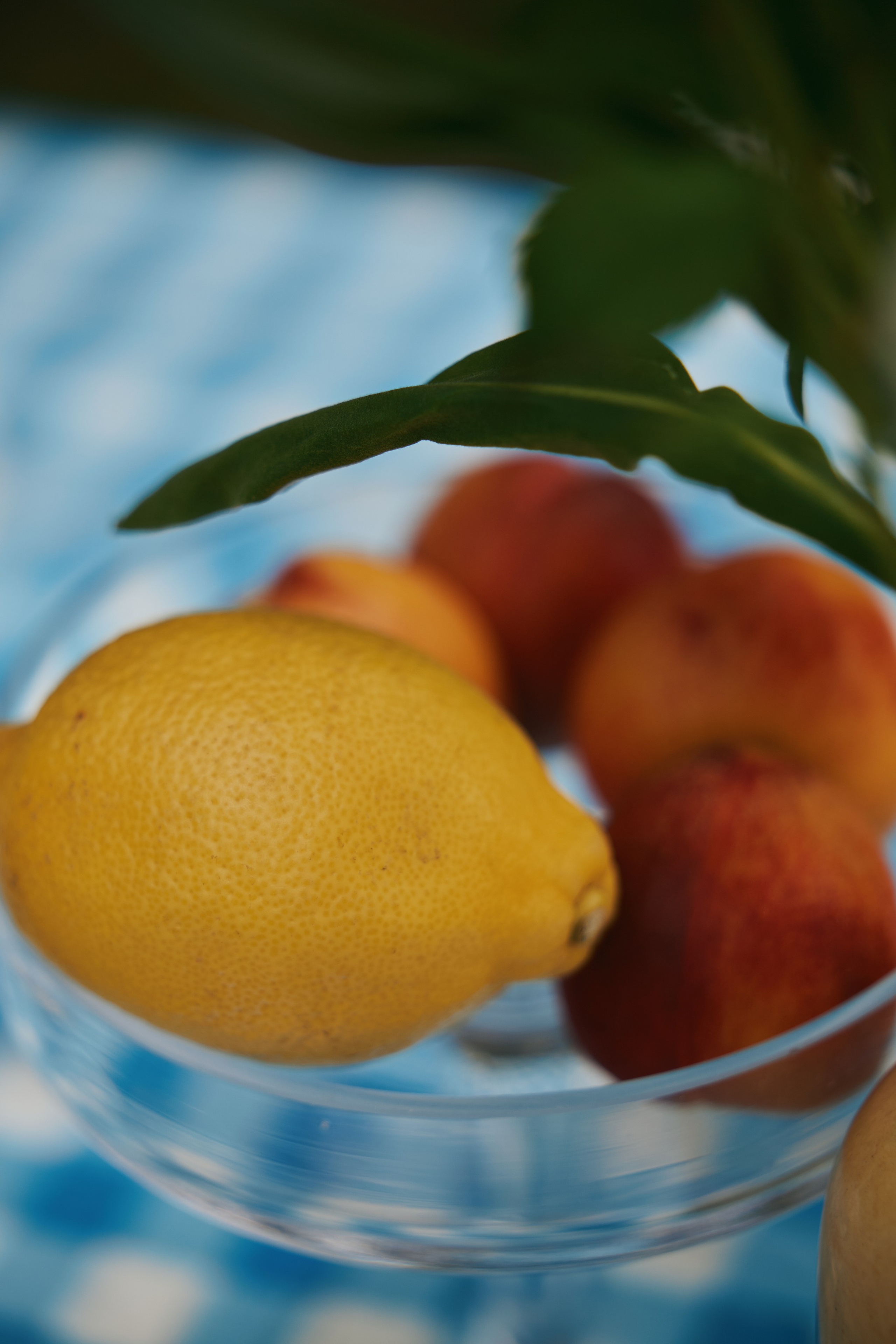 Завтрак в шляпках. Фотограф и видеограф в Кургане Леонид Корнильев