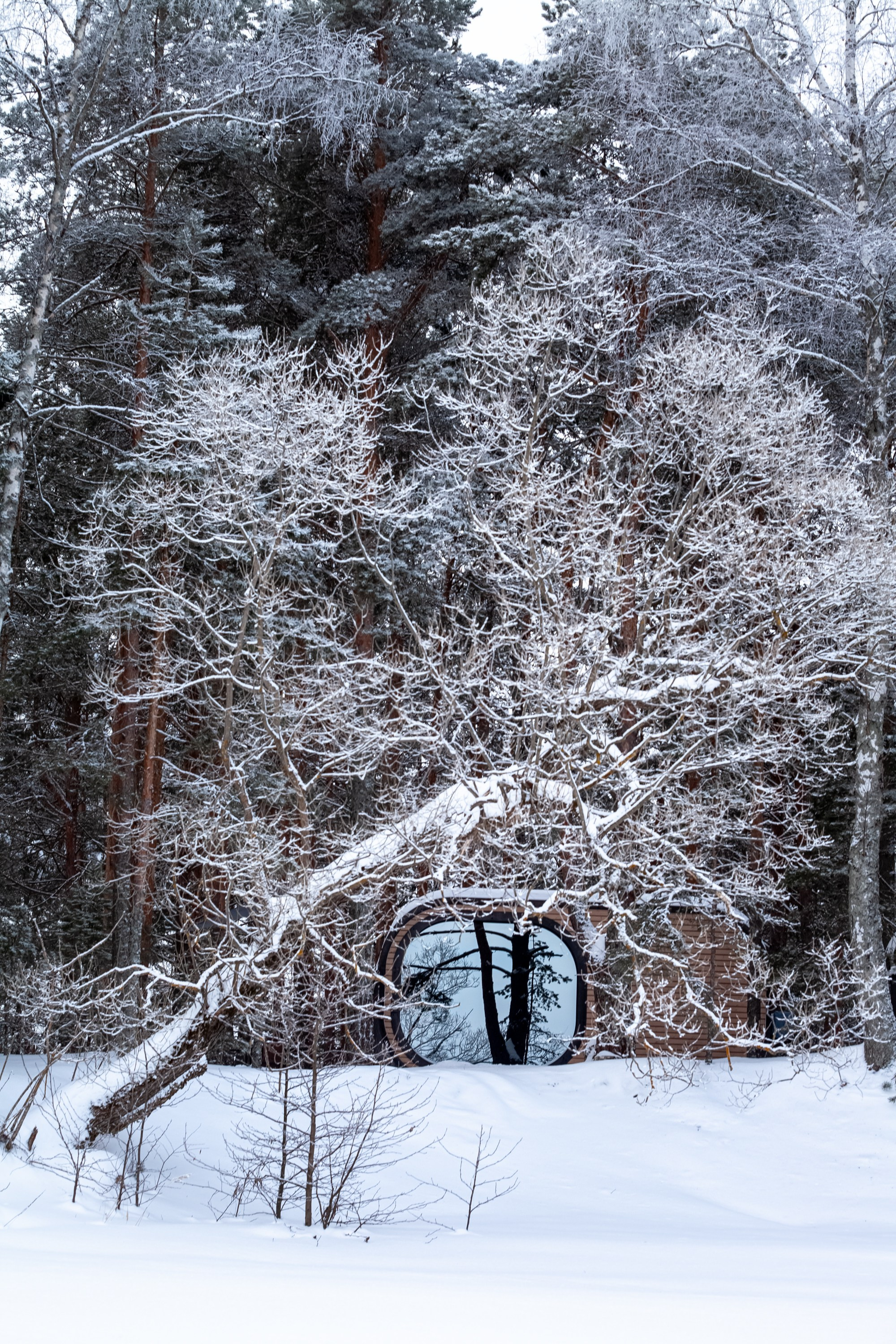 Выключить шум и услышать тишину, утихомирить свои мысли и приземлиться. В фокусе- человек и его состояние!. Туманов Виталий — фотограф Москва