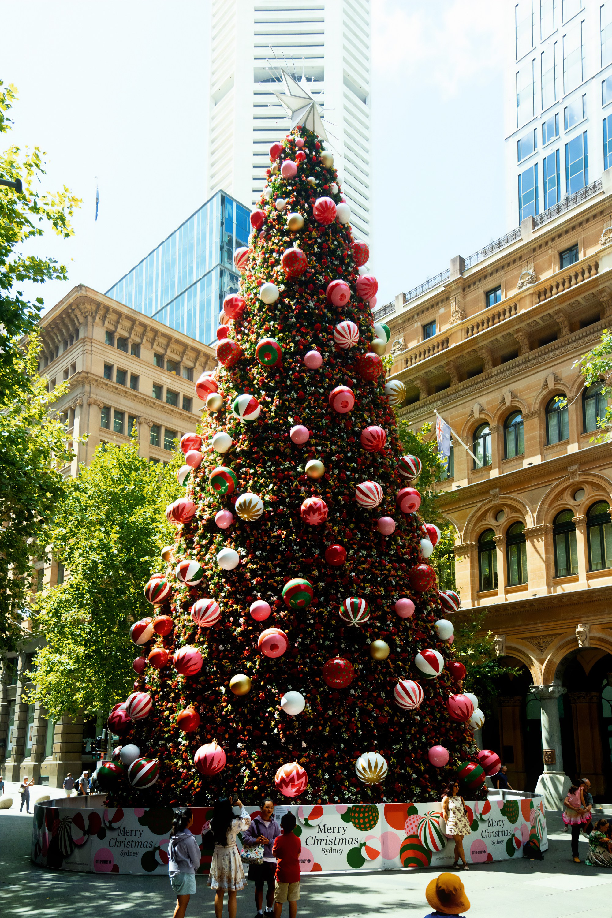 Австралия. Фотограф в Хабаровске. Фотография за 24 часа