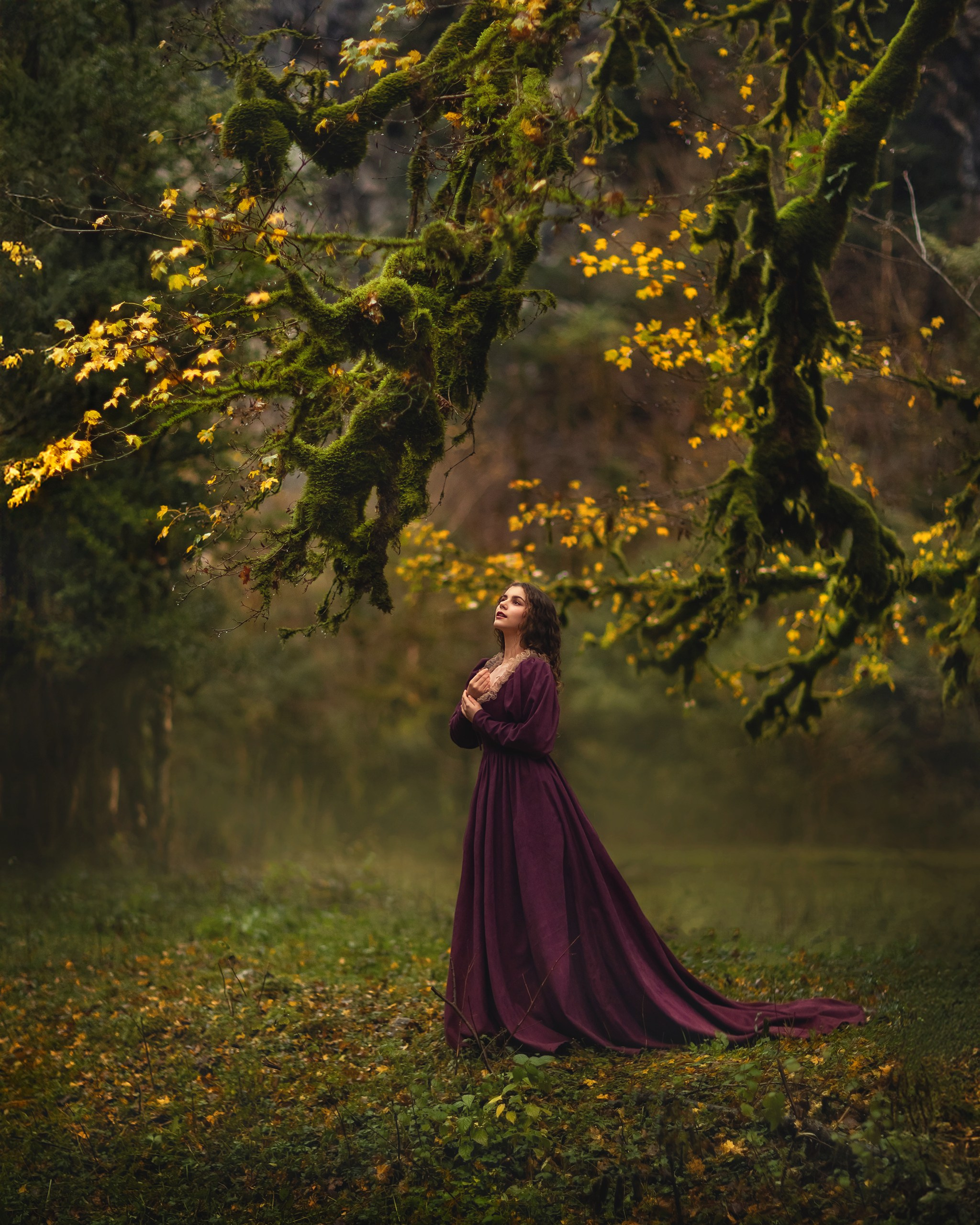 Самшитовый лес. Детский и семейный фотограф Елена Михайлова в Москве