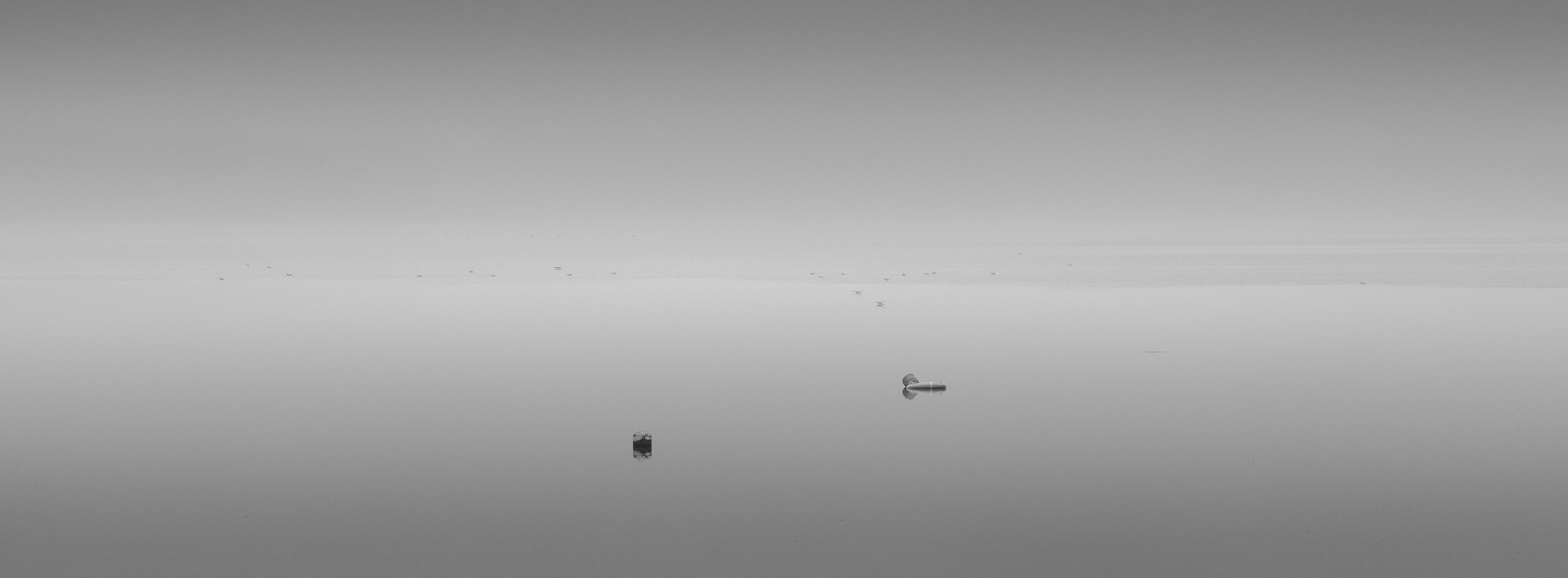 Альбом. Фотограф Арсен Сулейманов