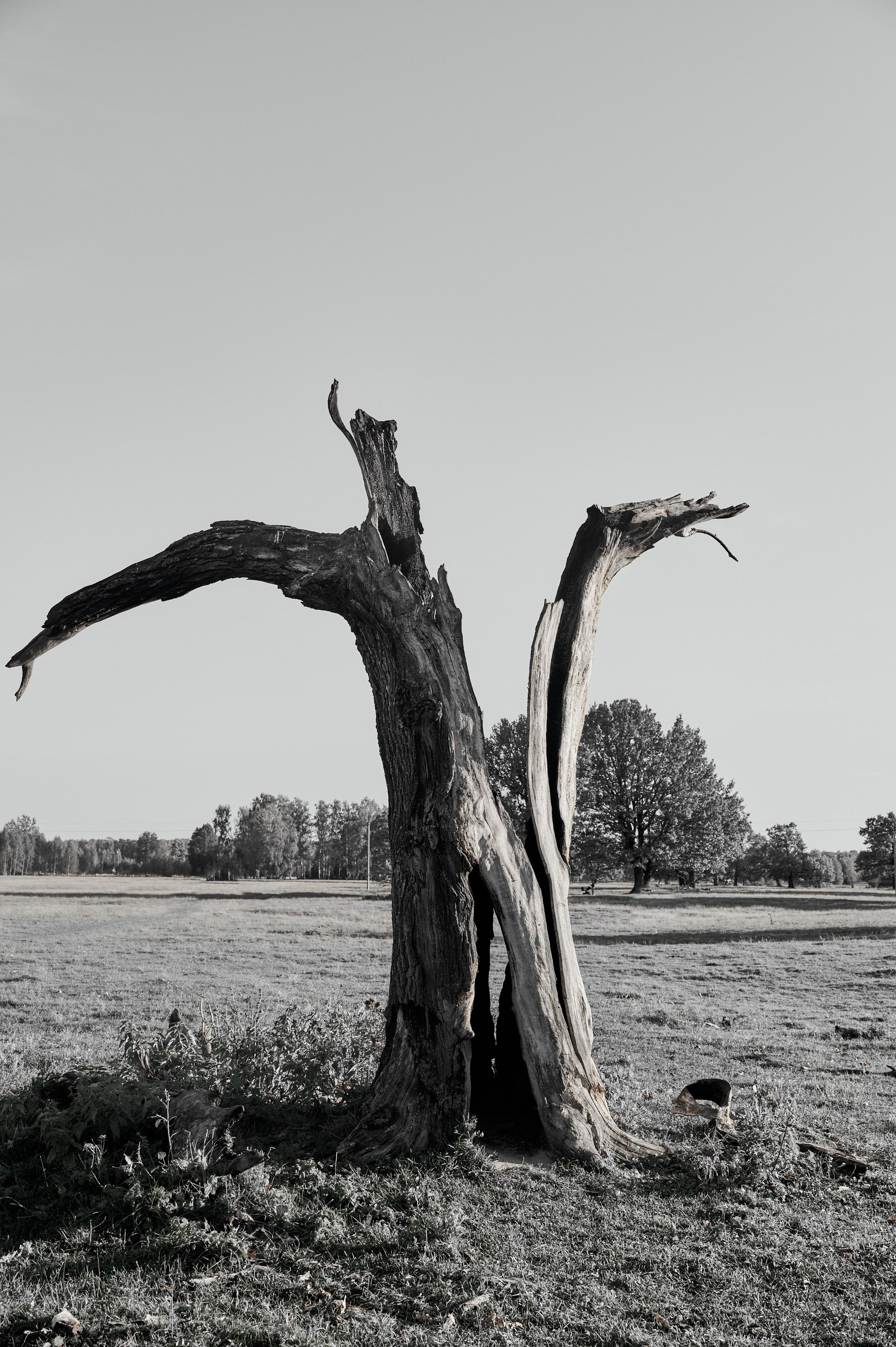 Каркас. Коммерческий фотограф в Казани Ксения Добролюбова