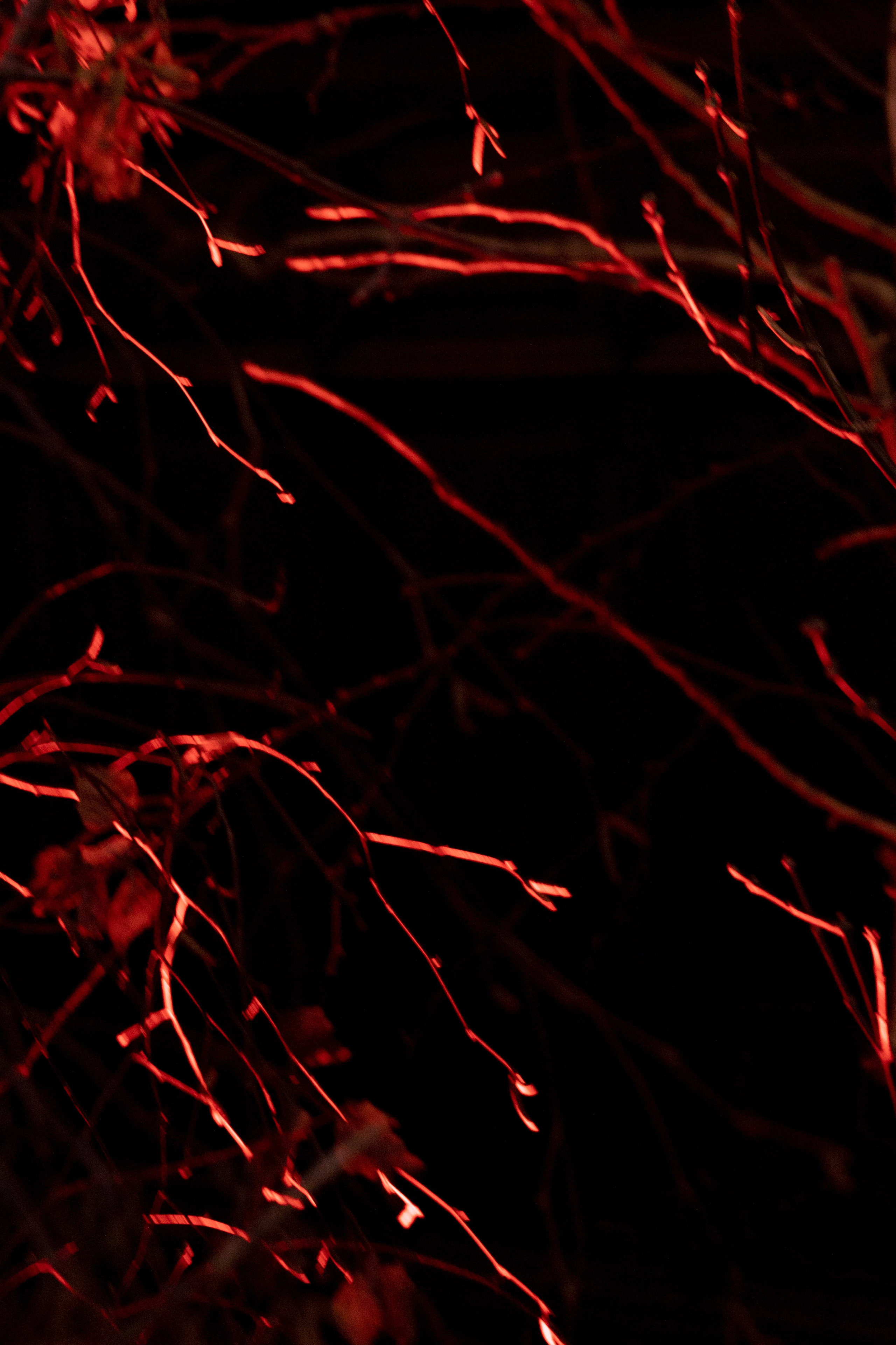 Новогодний корпоратив в фольклорном стиле. Особняк Лемана. Оформление свадеб, декор свадеб Вера Маркова, Москва