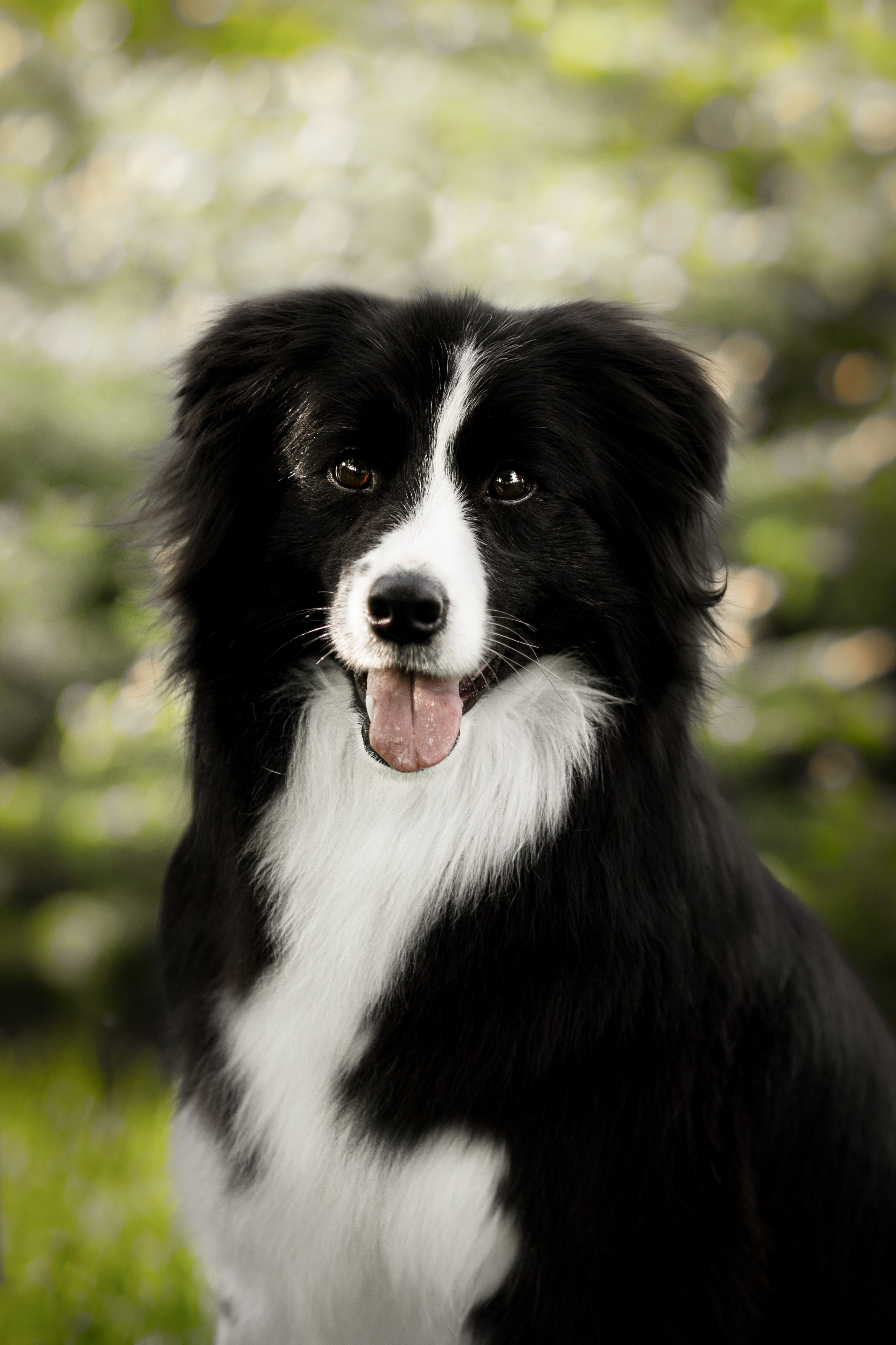 Роскошь в ростошах. О нас