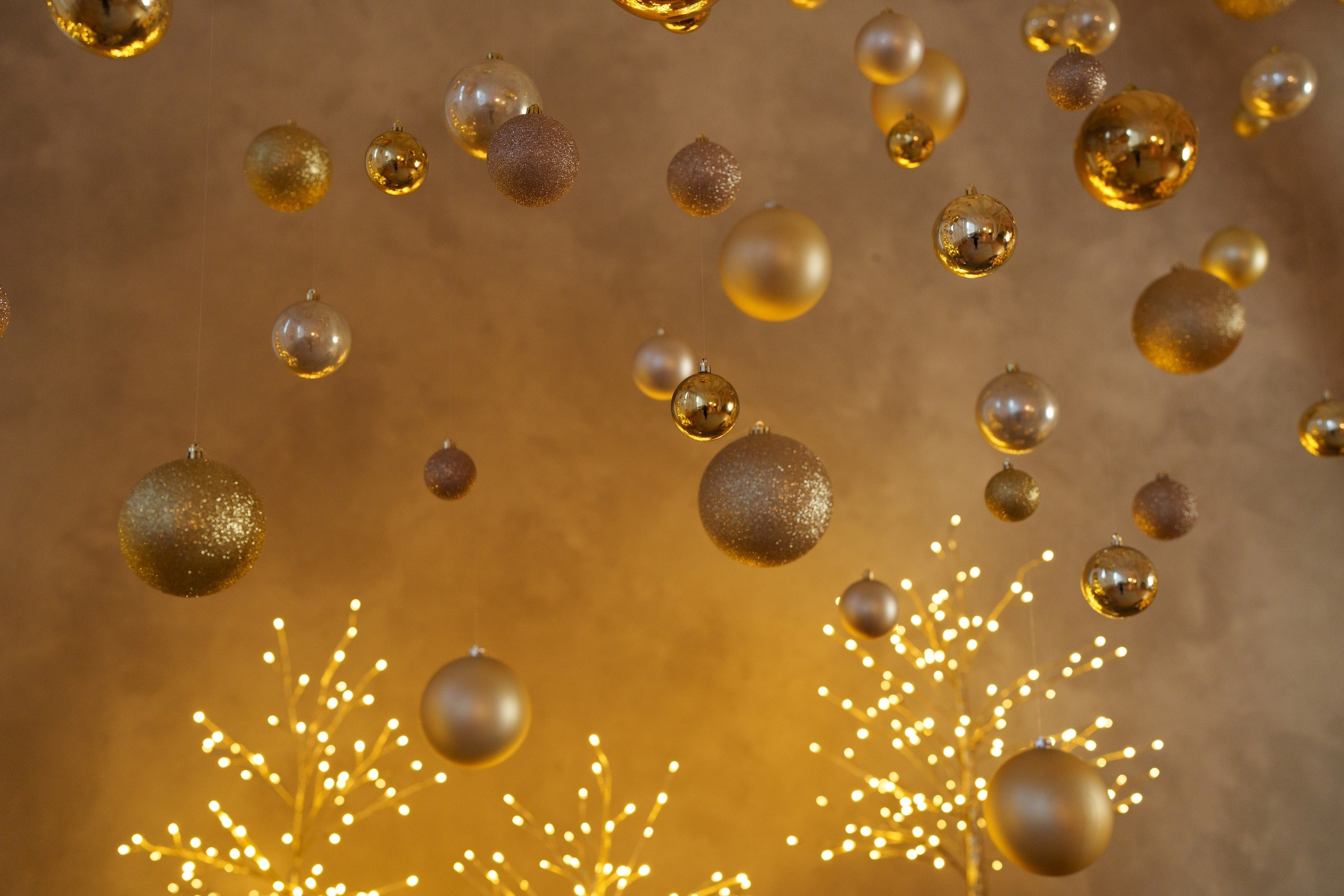 Зал Семейный, фотостудия Мун, Красноярск. Классный фотограф Красноярска Васильева Ирина