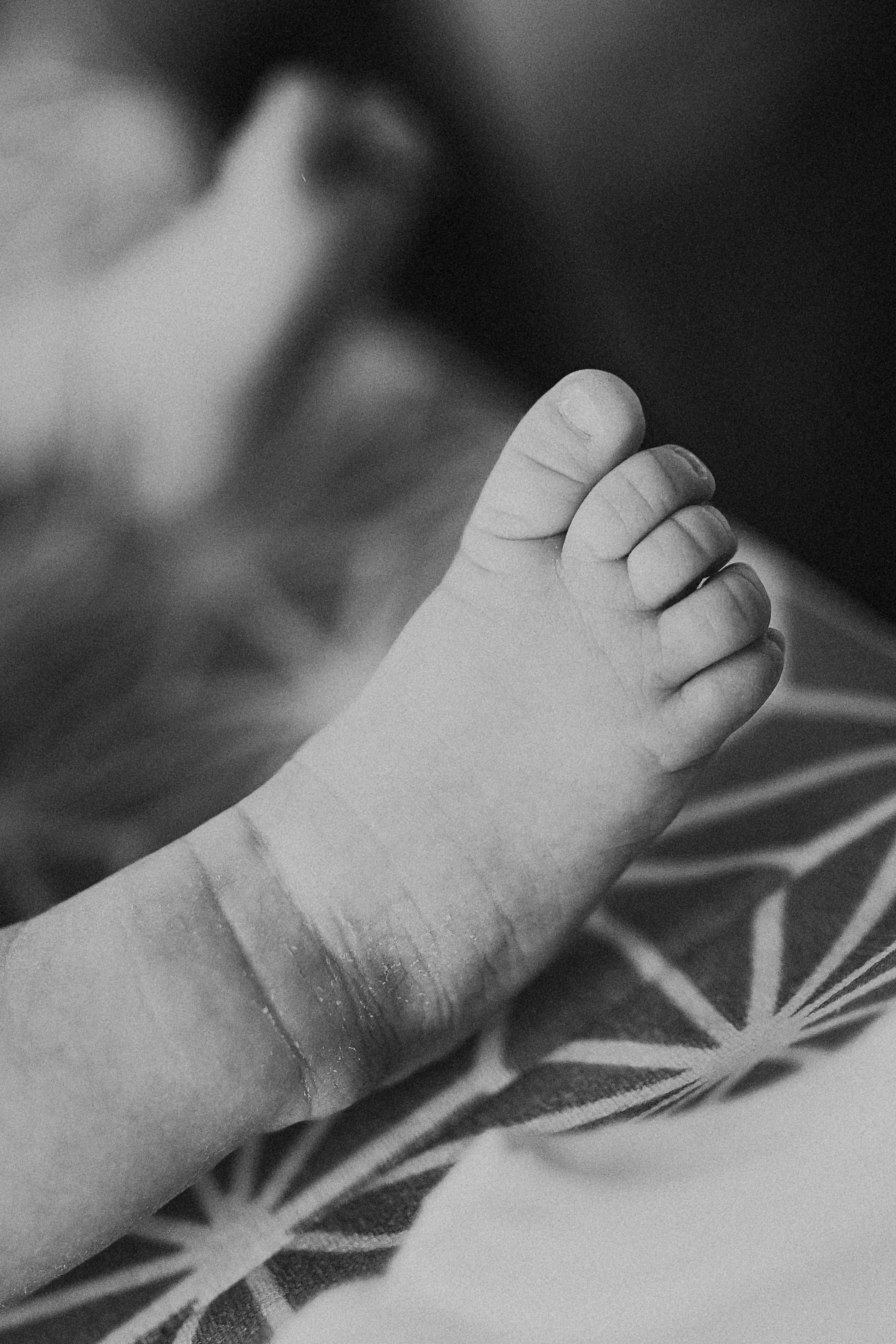 Елена, Андрей и малыши. Фотограф Наталья Колганова