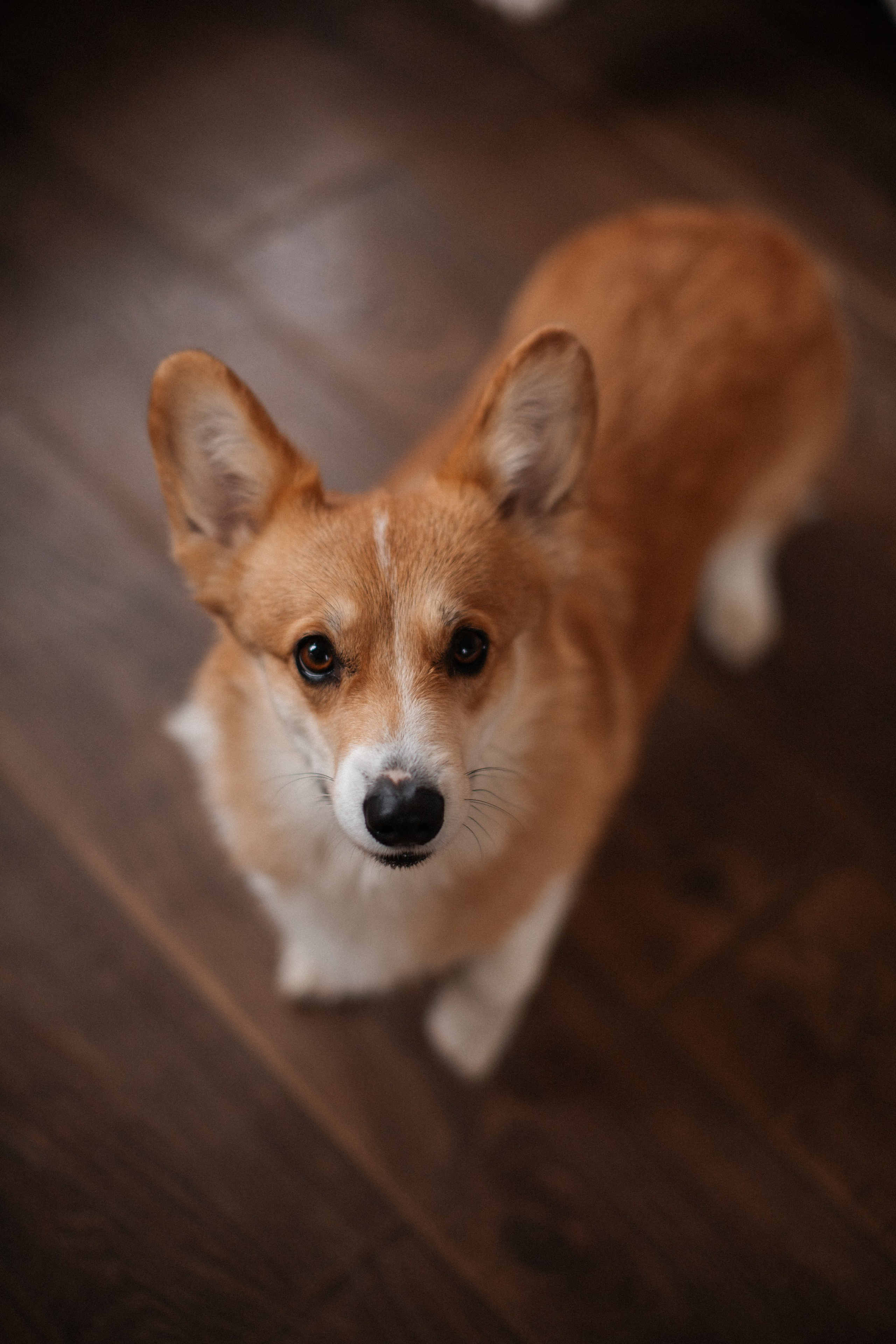 Семейная съемка. Честный семейный фотограф