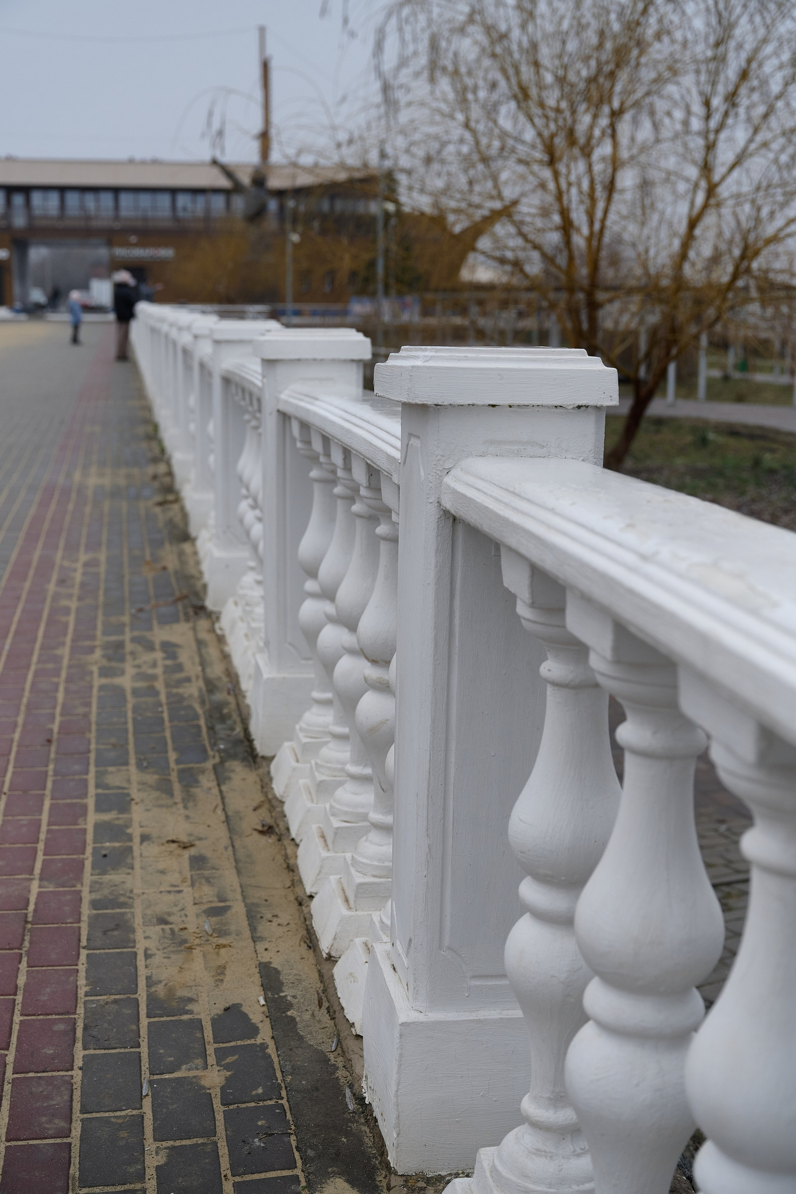 Дорога домой. Туман. Фотограф Роман Адлер