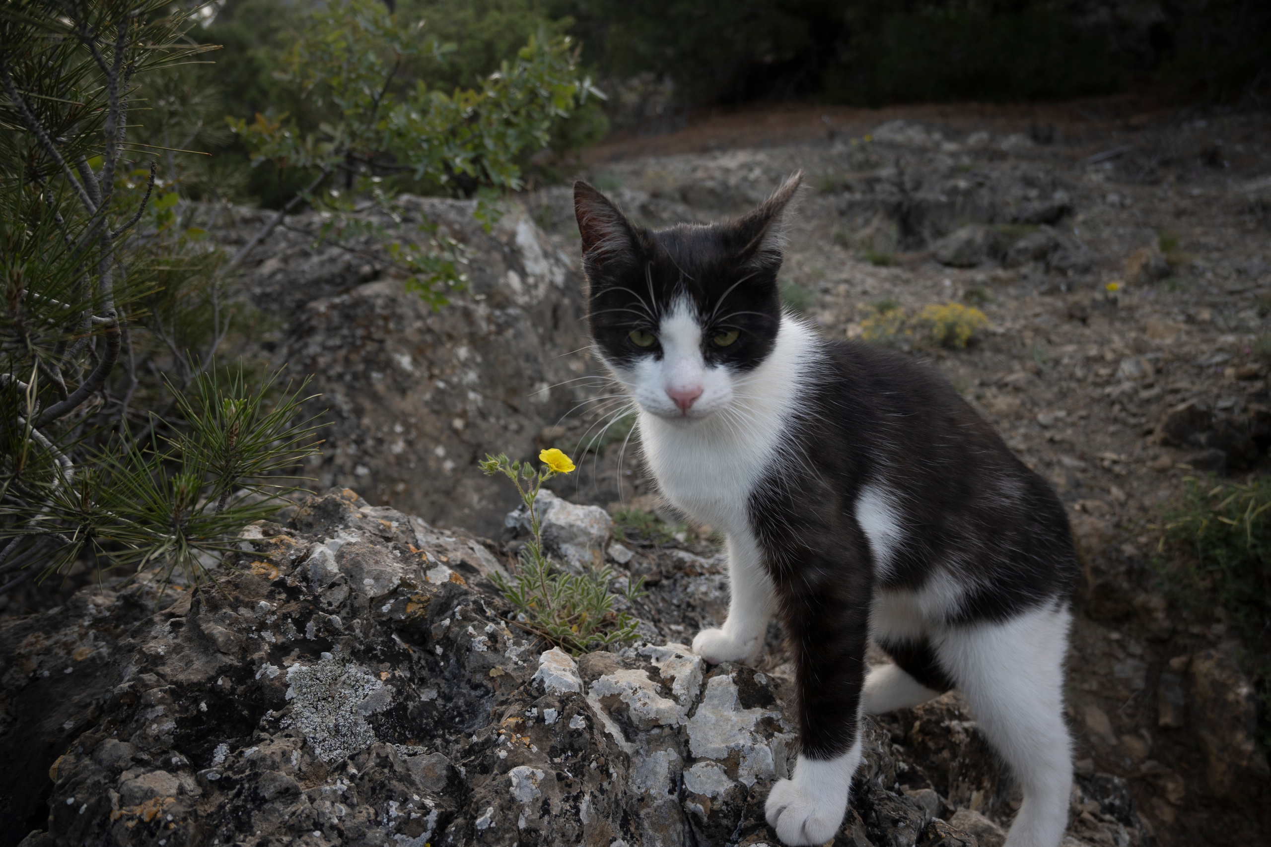 Крым май 2022. Фотограф Роман Адлер
