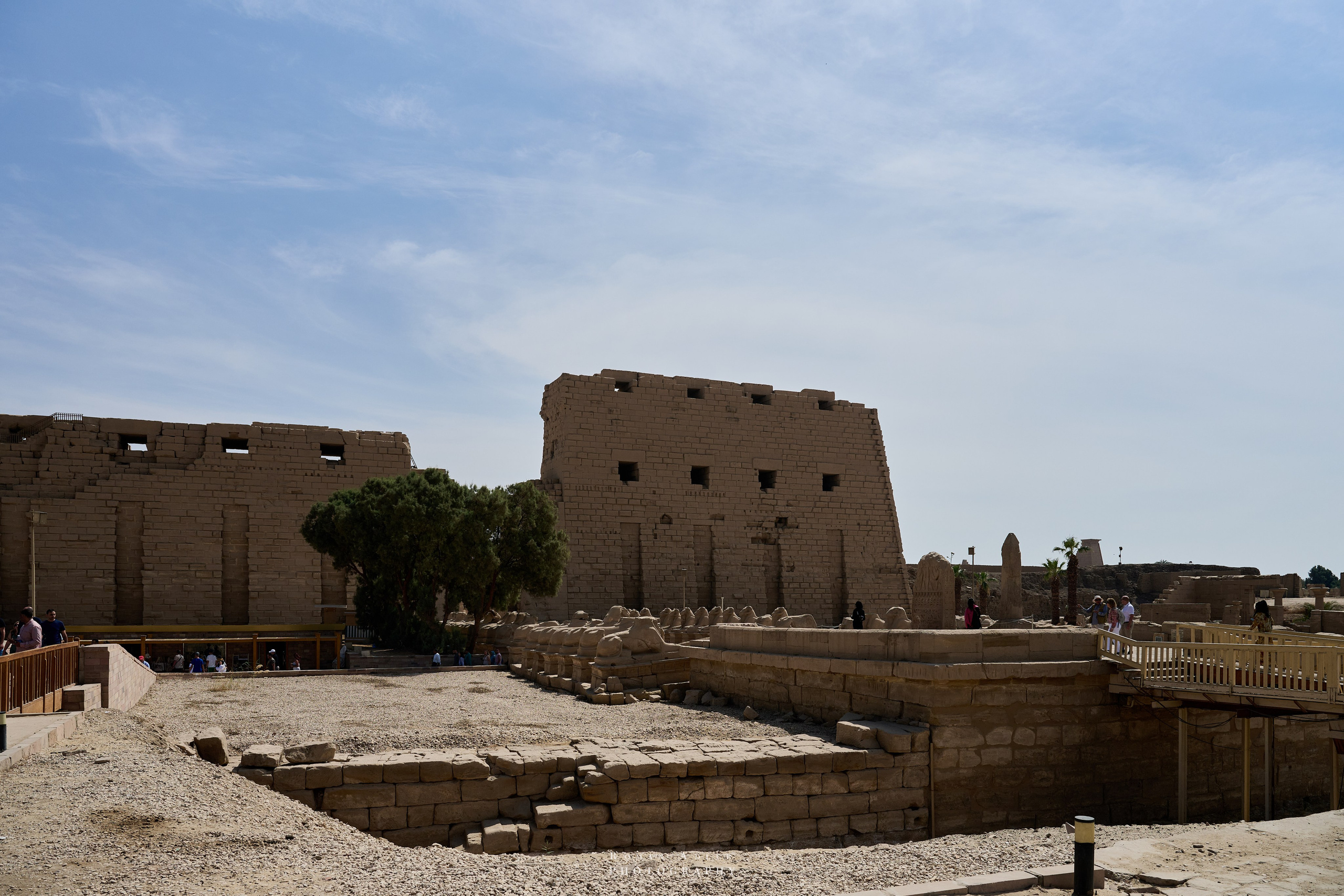 Луксор. Февраль 2025. Фотограф Роман Адлер