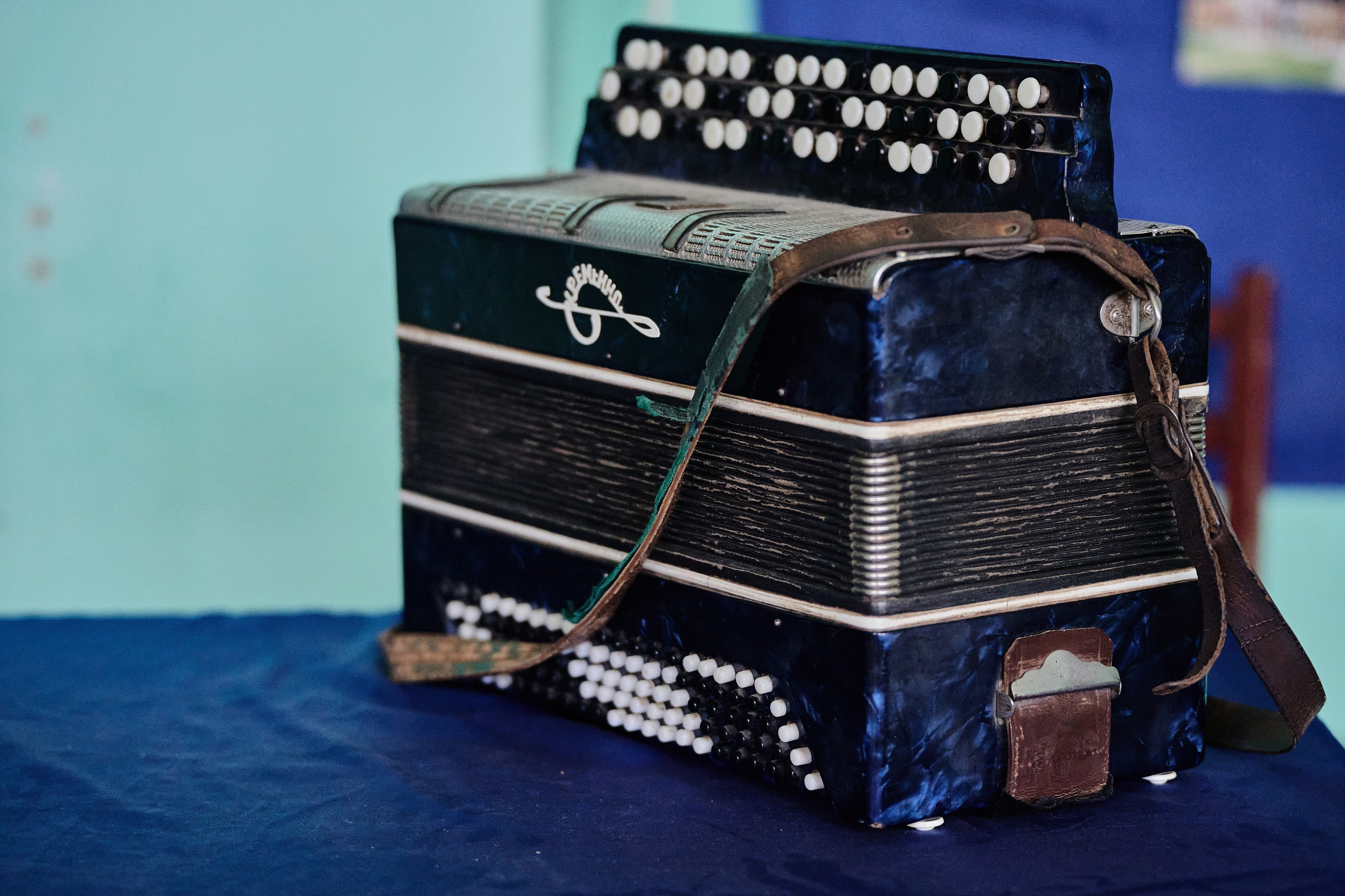 Краснореченское (Луганская область). Ноябрь 2024. Фотограф Роман Адлер