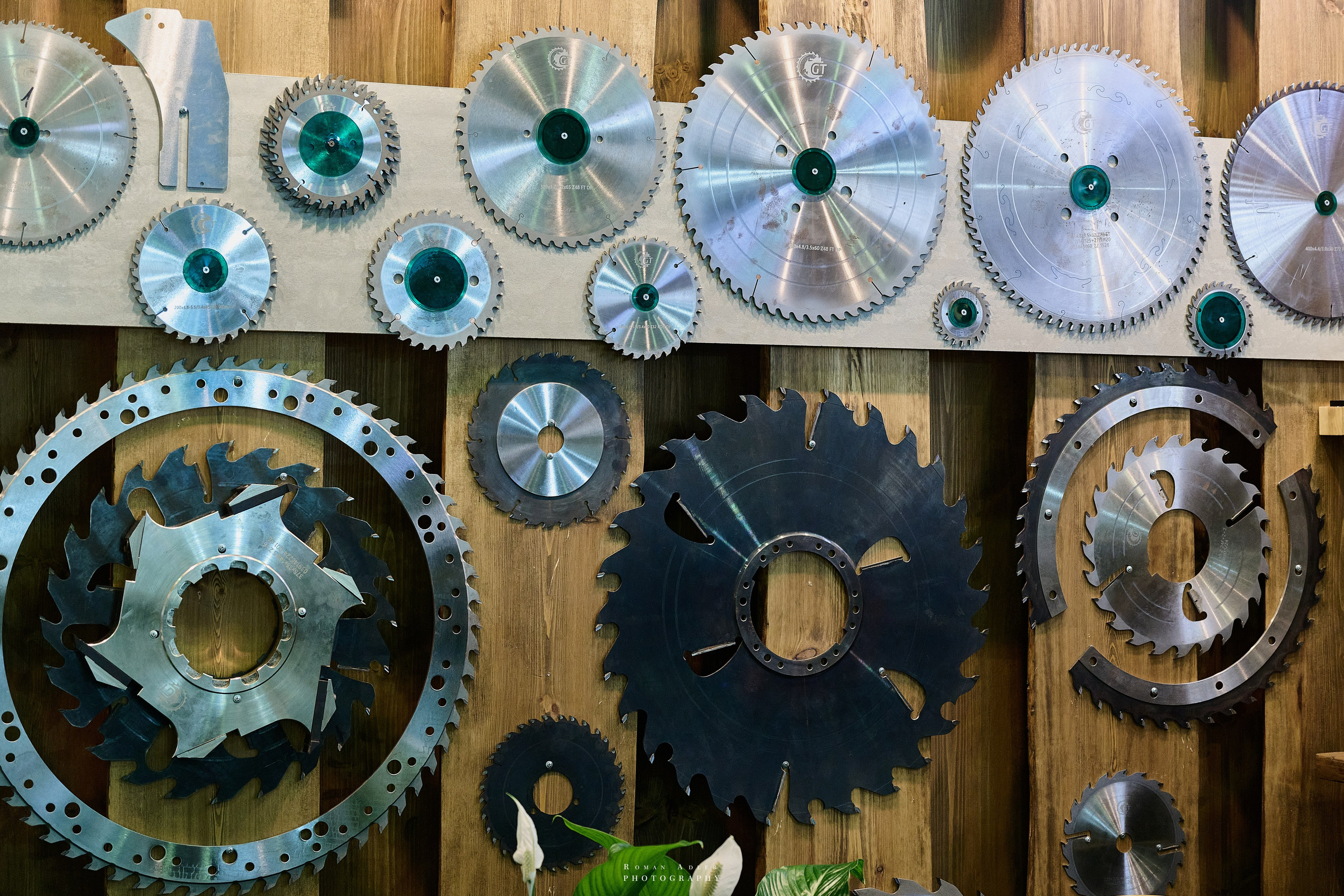 Выставка Лесдревмаш 2024. Фотограф Роман Адлер