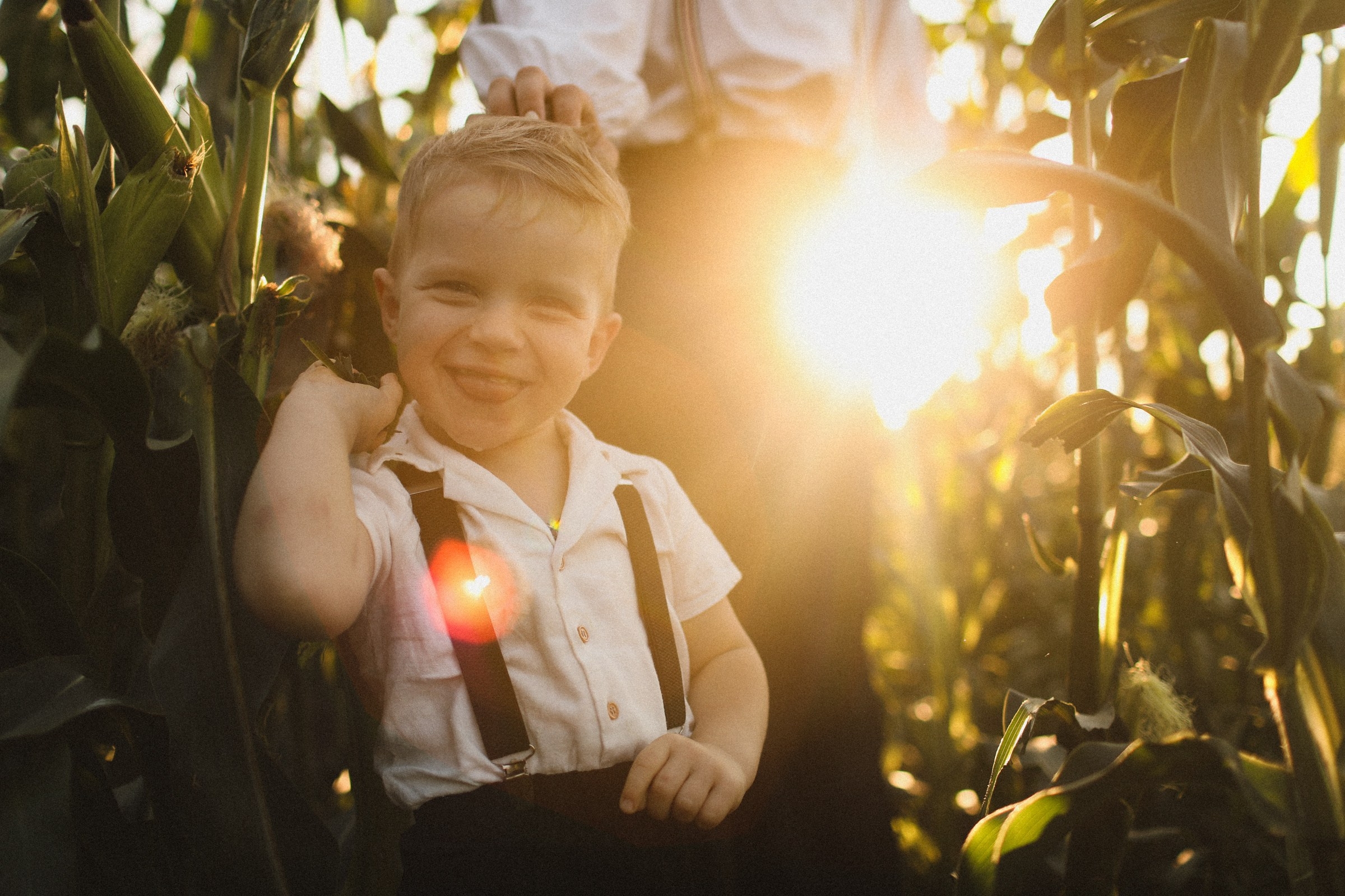 Пойдем смотреть птиц!. Семейный фотограф в Москве Алевтина Носова