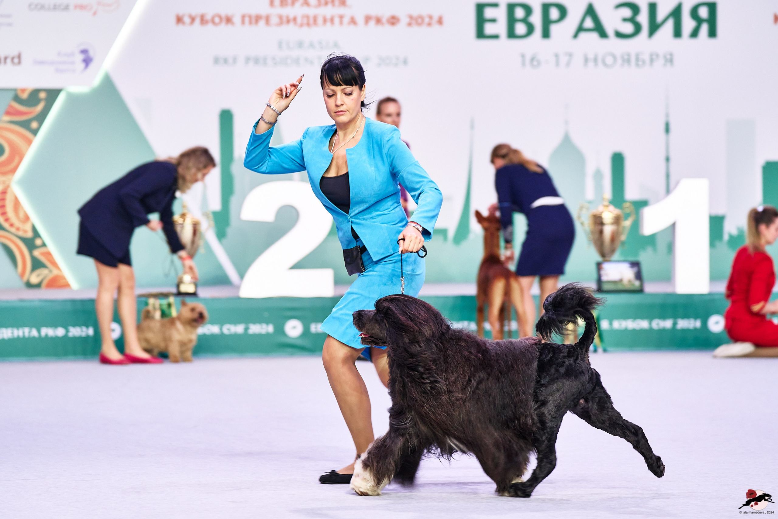 16.11.2024 «ЕВРАЗИЯ. КУБОК ПРЕЗИДЕНТА РКФ 2024»