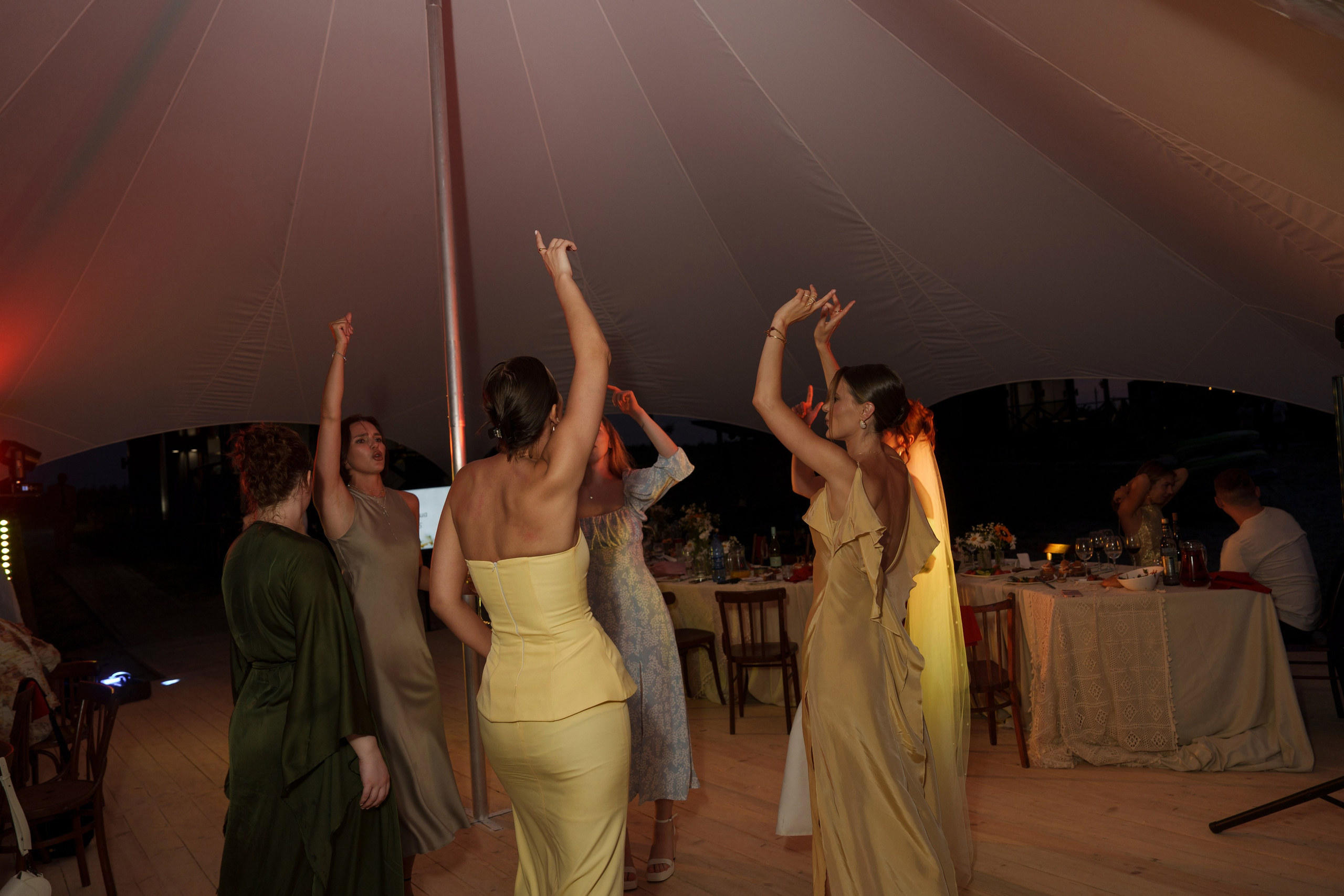 Михаил и Ольга (банкетная часть г. Брянск). Свадебный и репортажный фотограф Элина Козырьянова