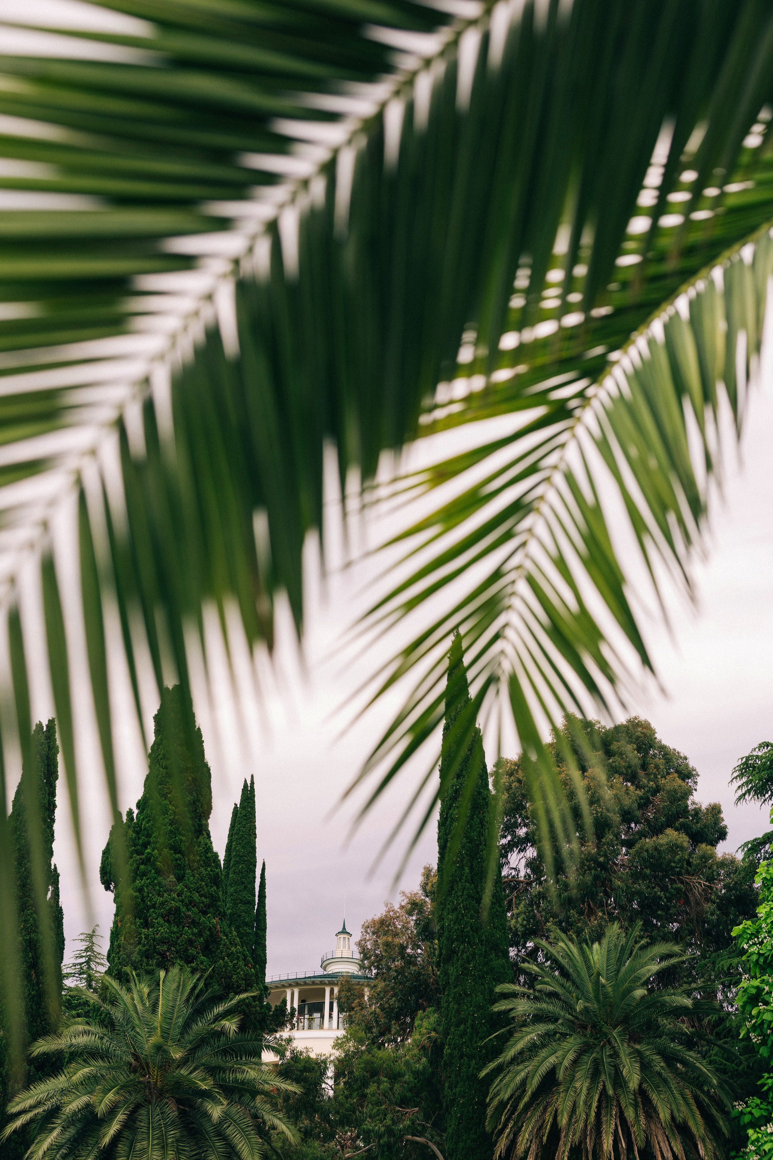 @fruits_family_wedding. Свадебный и репортажный фотограф в Москве Владимир Сергеев | Naysaikolo