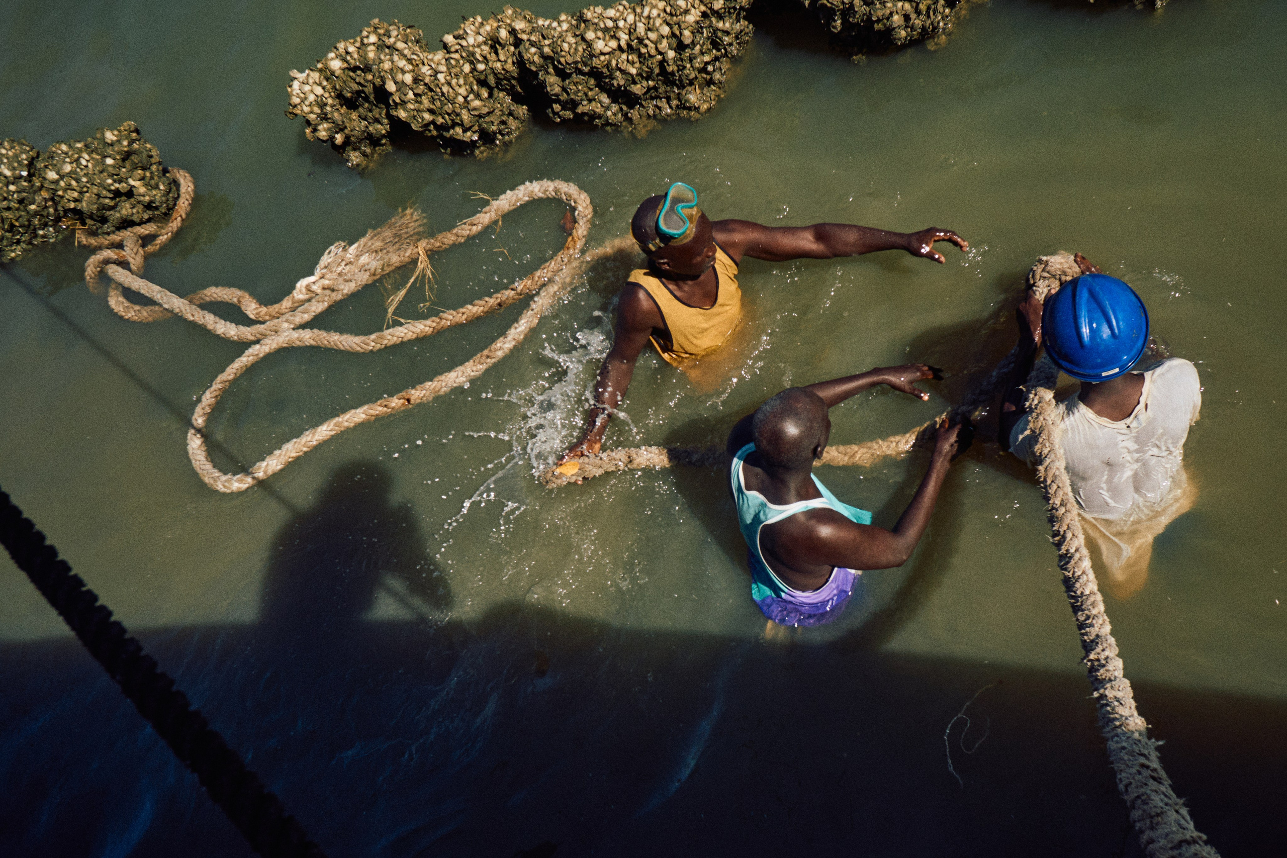 Gambia River. See the moment and catche. commercial and reportage