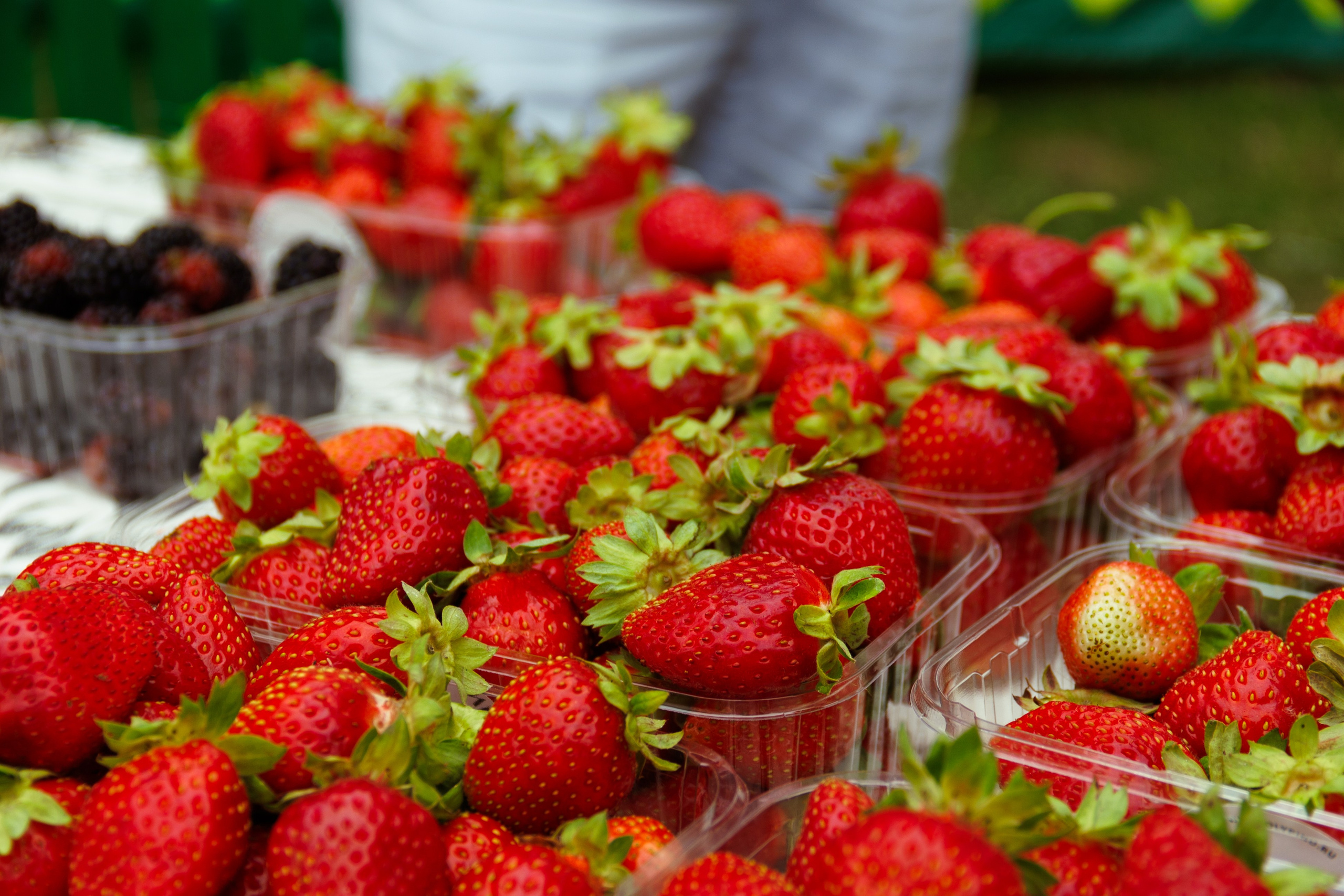 Фестиваль «На Рахате» 2025. Фотограф мероприятий и спорта: юбилеев, дней рождений и корпоративов из Москвы