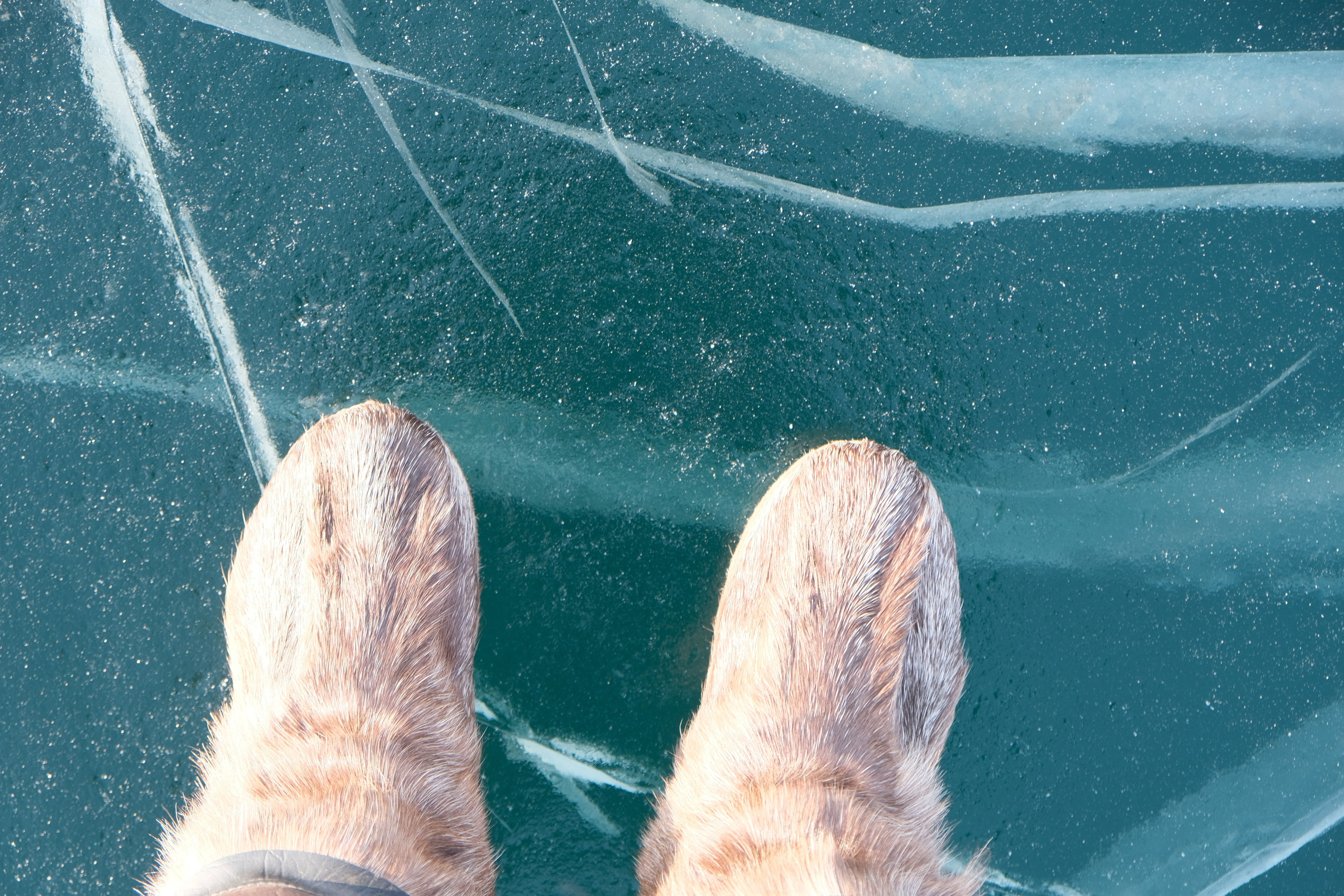 Ольхон. Сэсэг — дочь степи | семейный фотограф