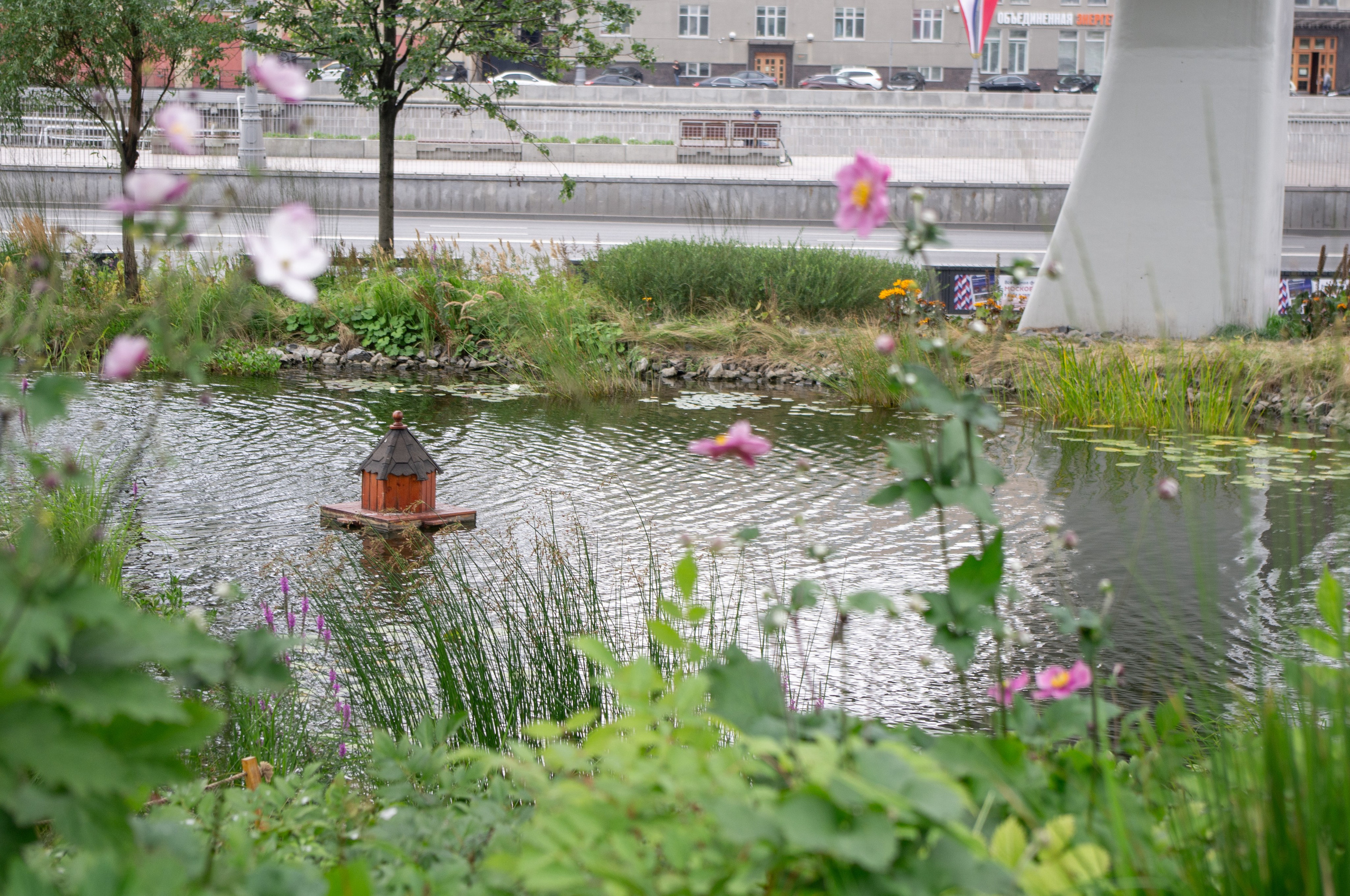 20200824 Вокруг Кремля с братом. Дмитрий Ремизов. Фотография, как хобби