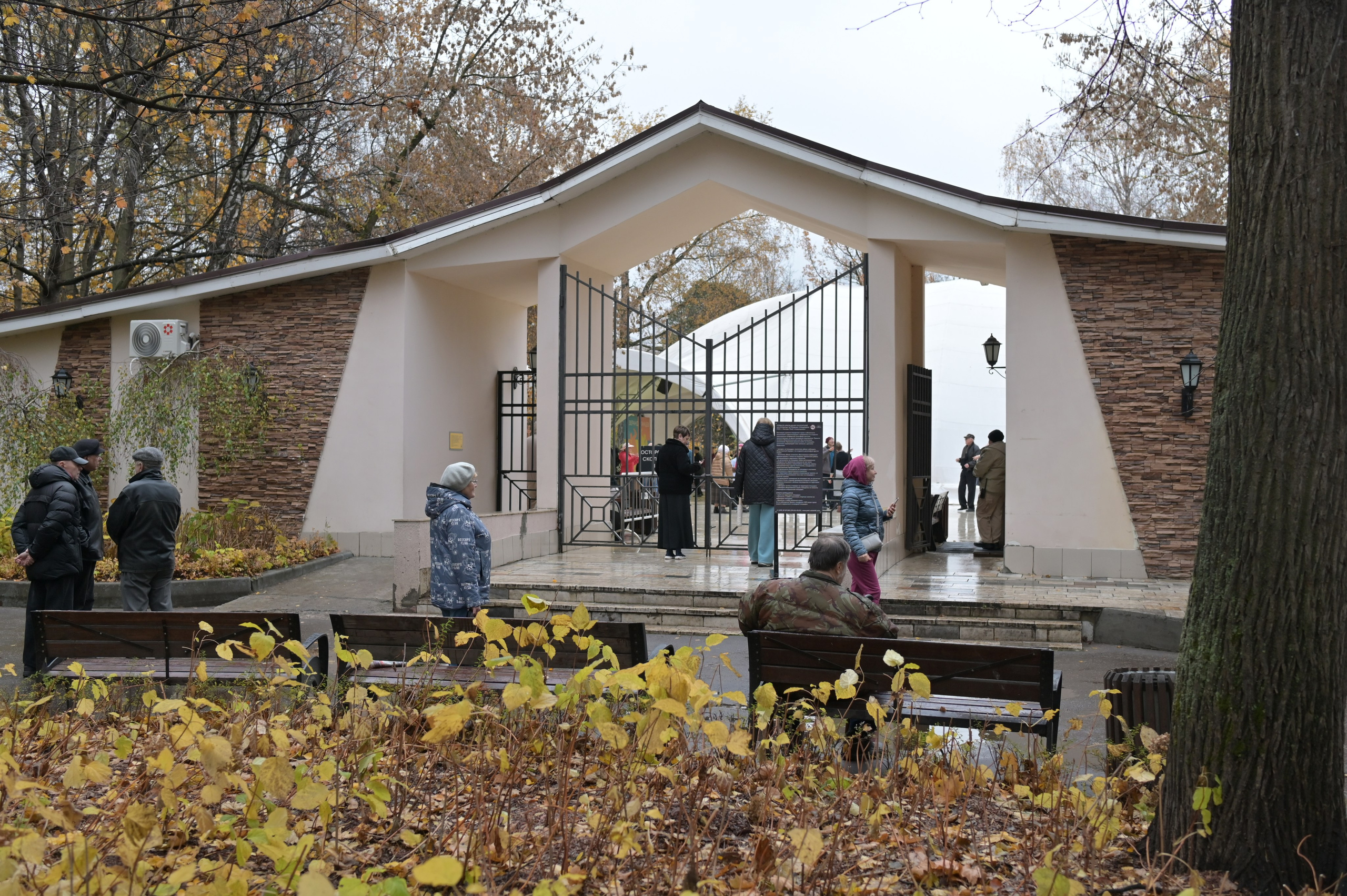 20241026 Сокольники. Дмитрий Ремизов. Фотография, как хобби