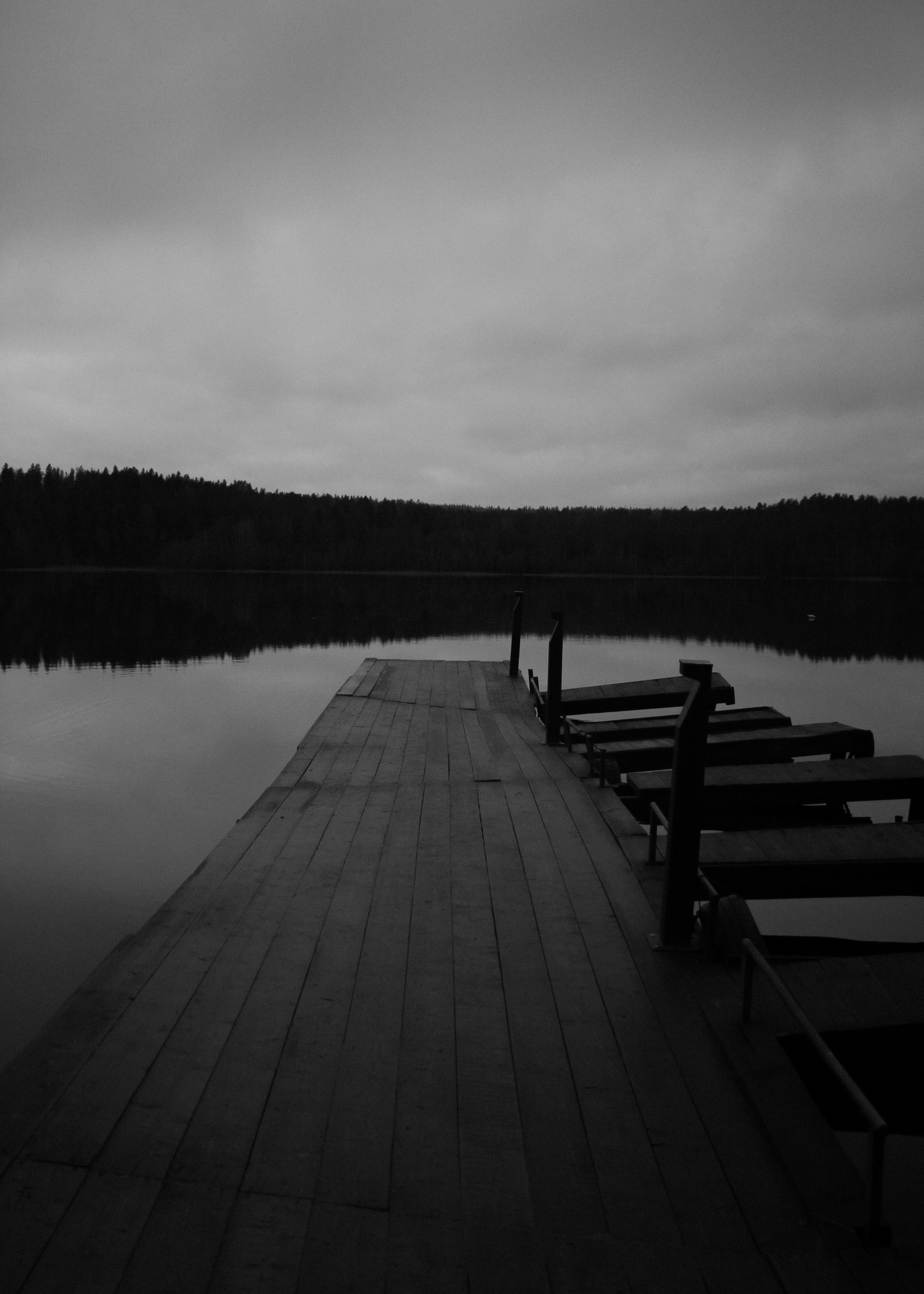 Лес и абстрактность. Портретный фотограф DanilNabody