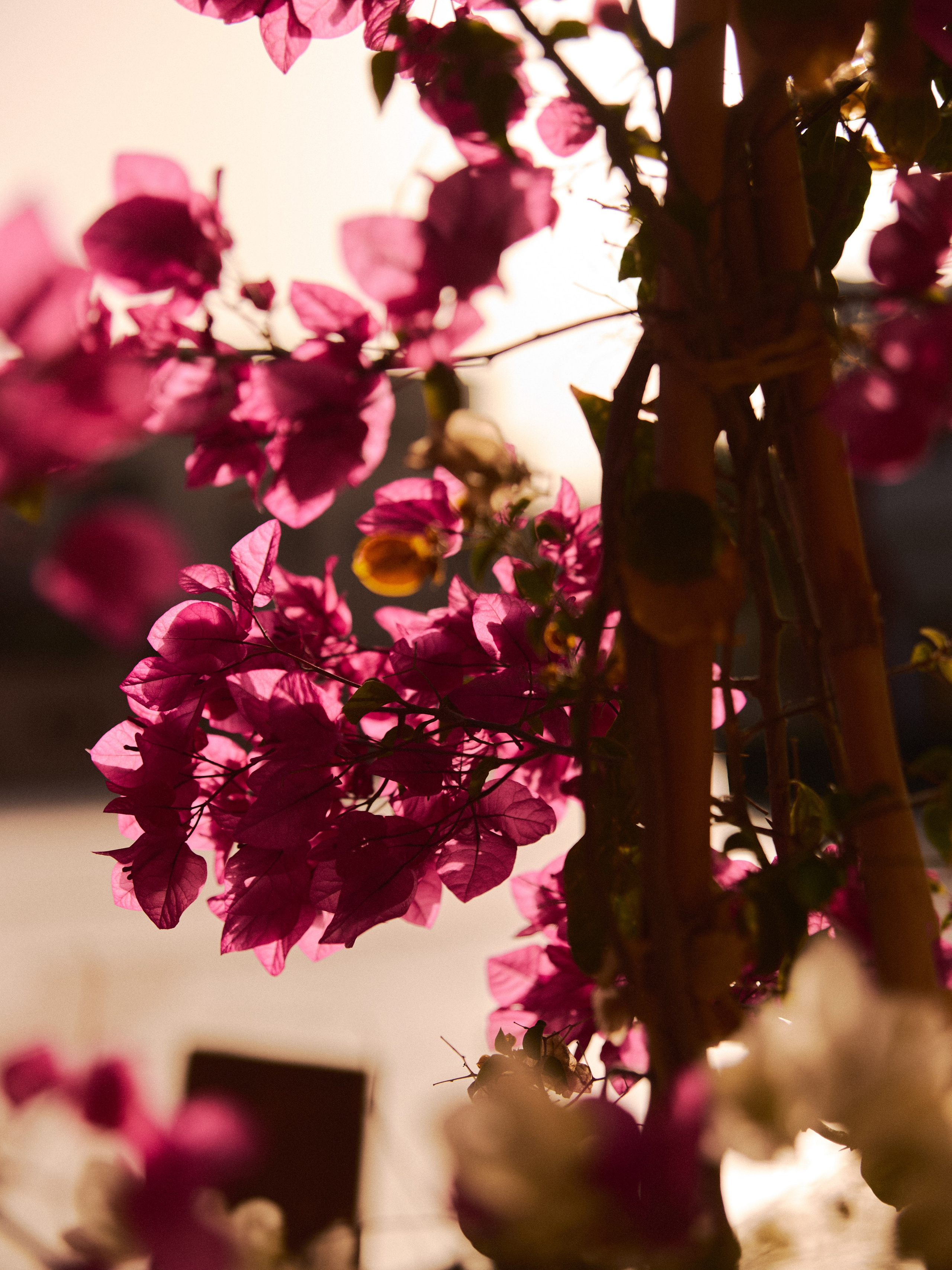 Природа. Jorgis Talè — photographer, kind person, teacher of arts and other mag