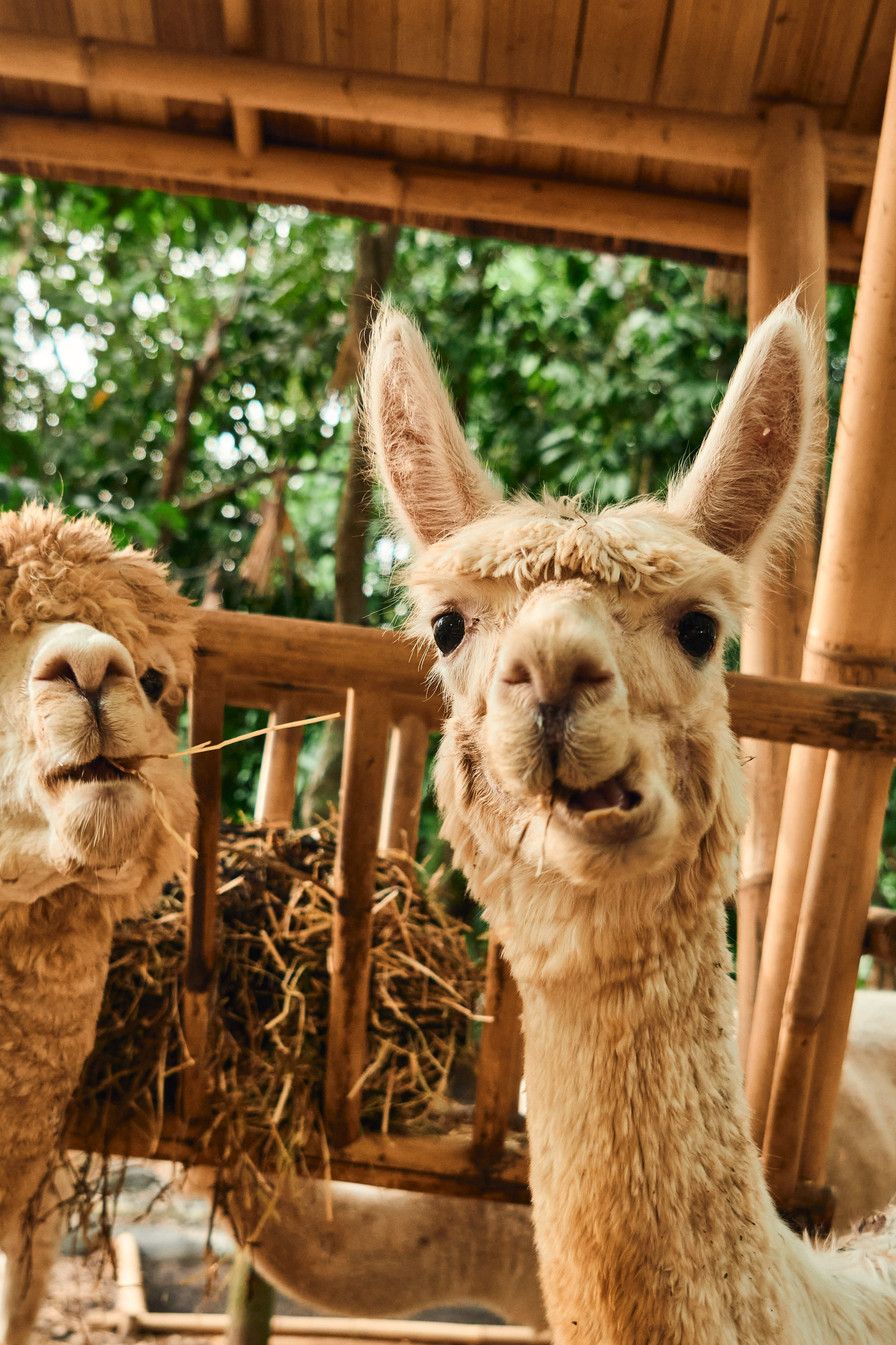 NuanuResort. See the moment and catche. commercial and reportage