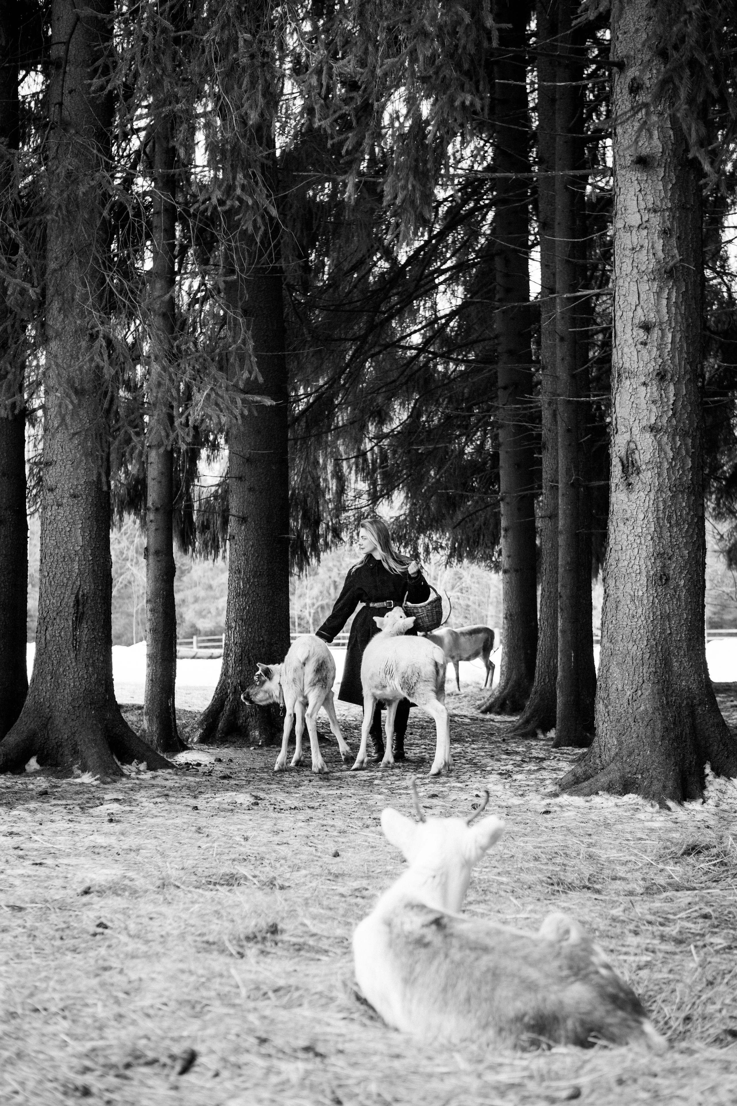 Вероника. Свадебный и семейный фотограф Анастасия Багрец