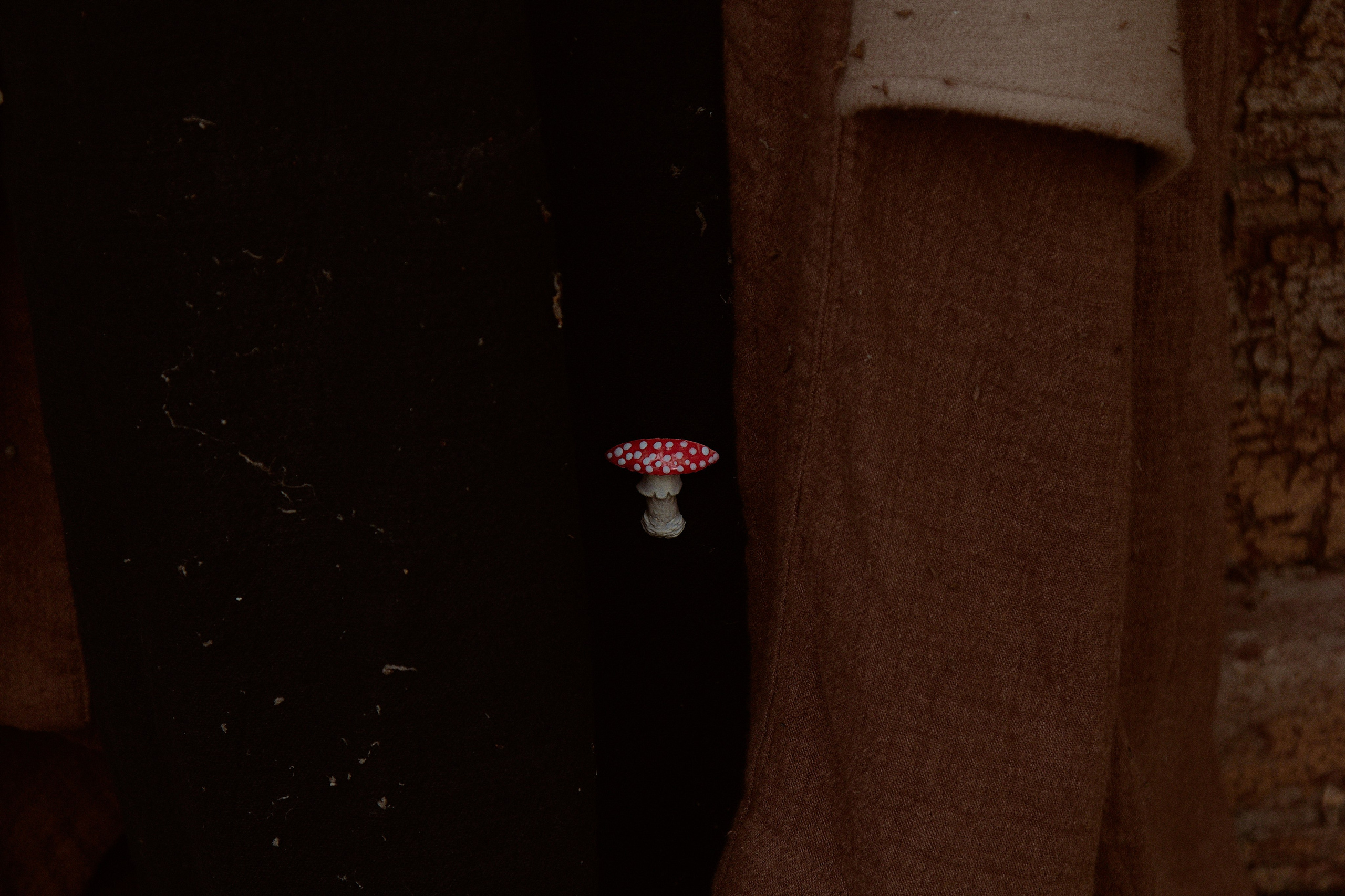 Русская сказка. Фотограф лавстори Москва/МО Приятелева Ангелина