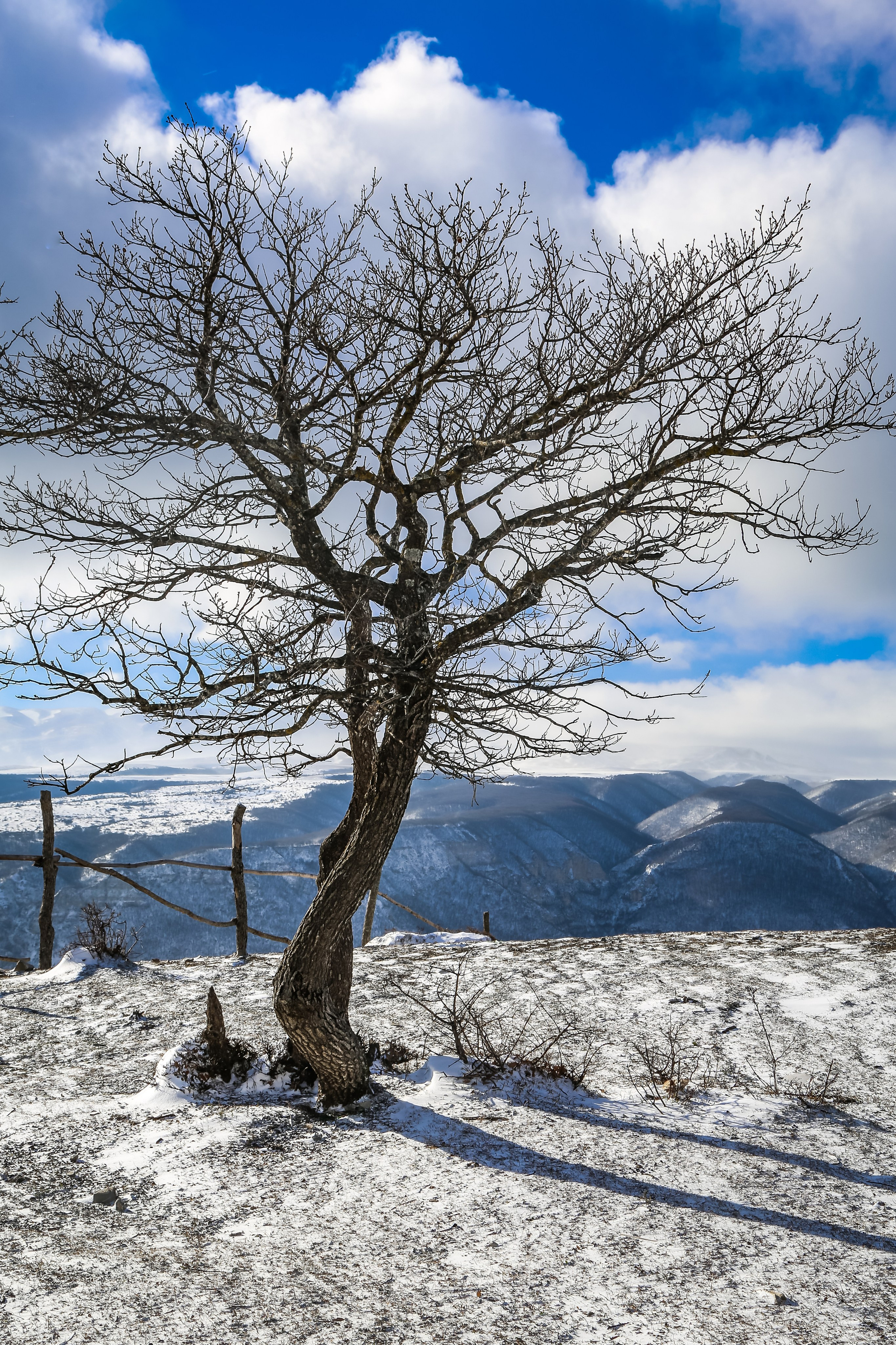 Кавказ: многоликий Дагестан. Дарья Письменюк / Darya Leitstern — фотограф, музыкант, журналист, путешественник