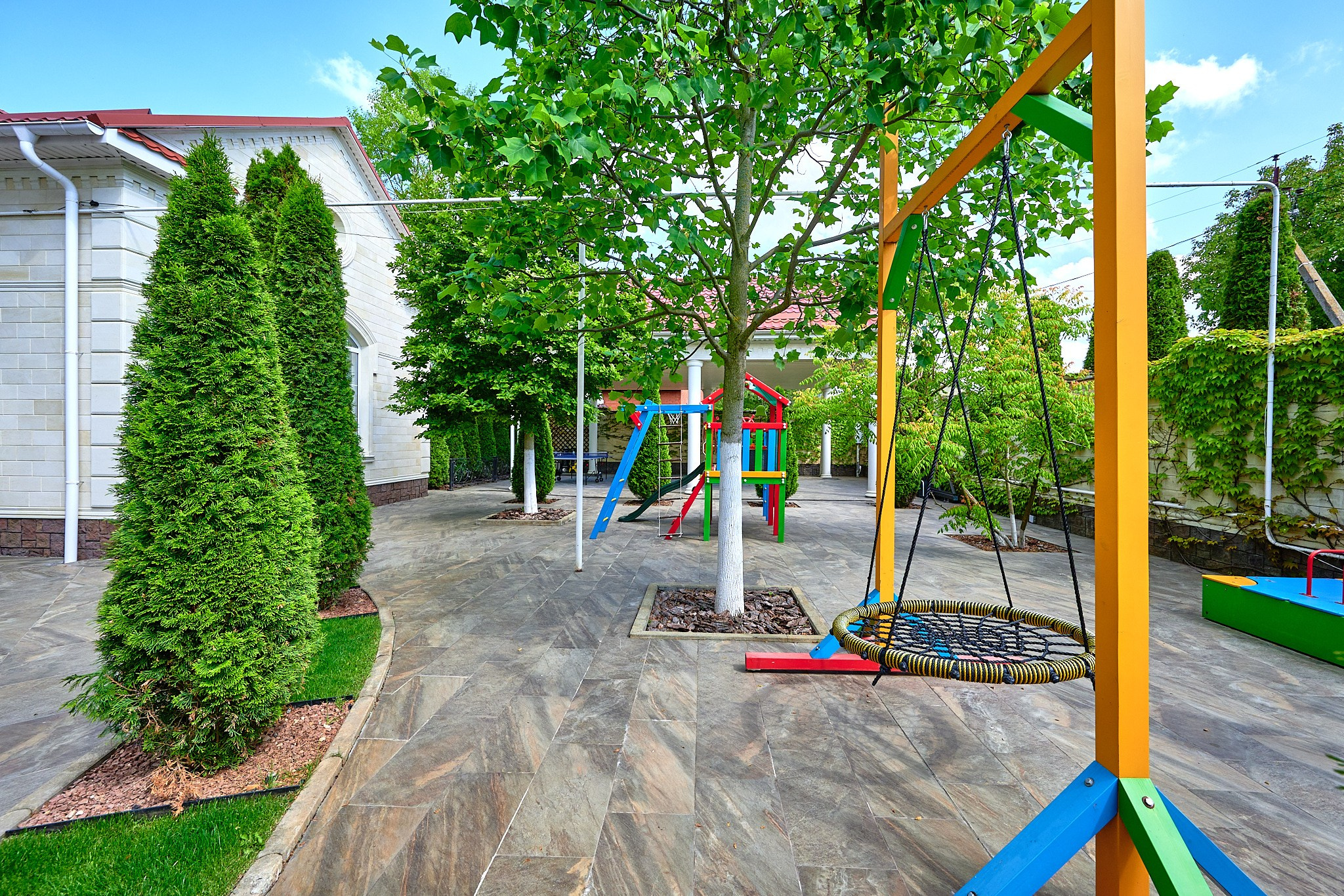 деревья площадка цветная 