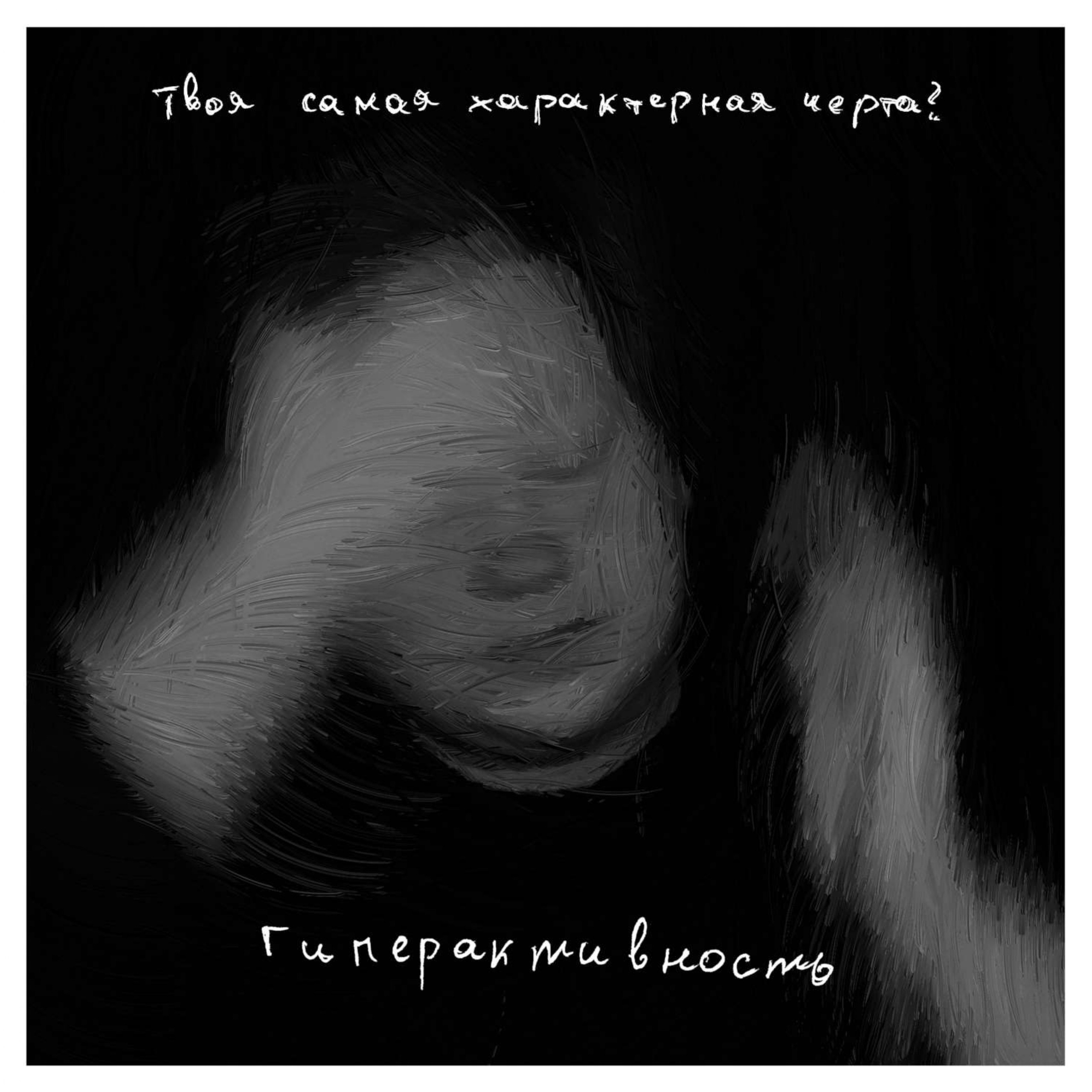 Илья Перевозкин