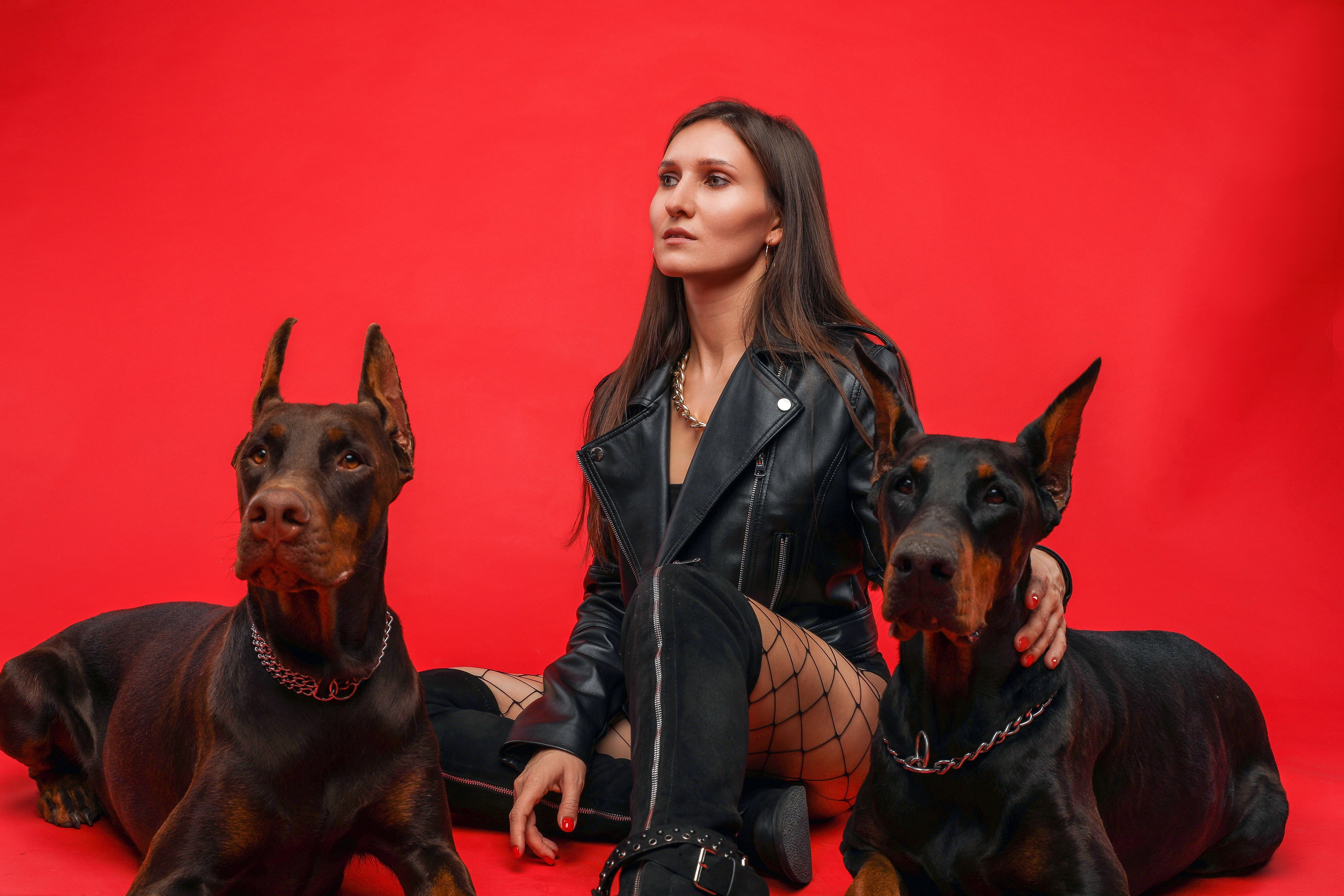 ПРОЕКТ «ДОБЕРМАНЫ». Photographer Viktoriya Markushina «My world throug»