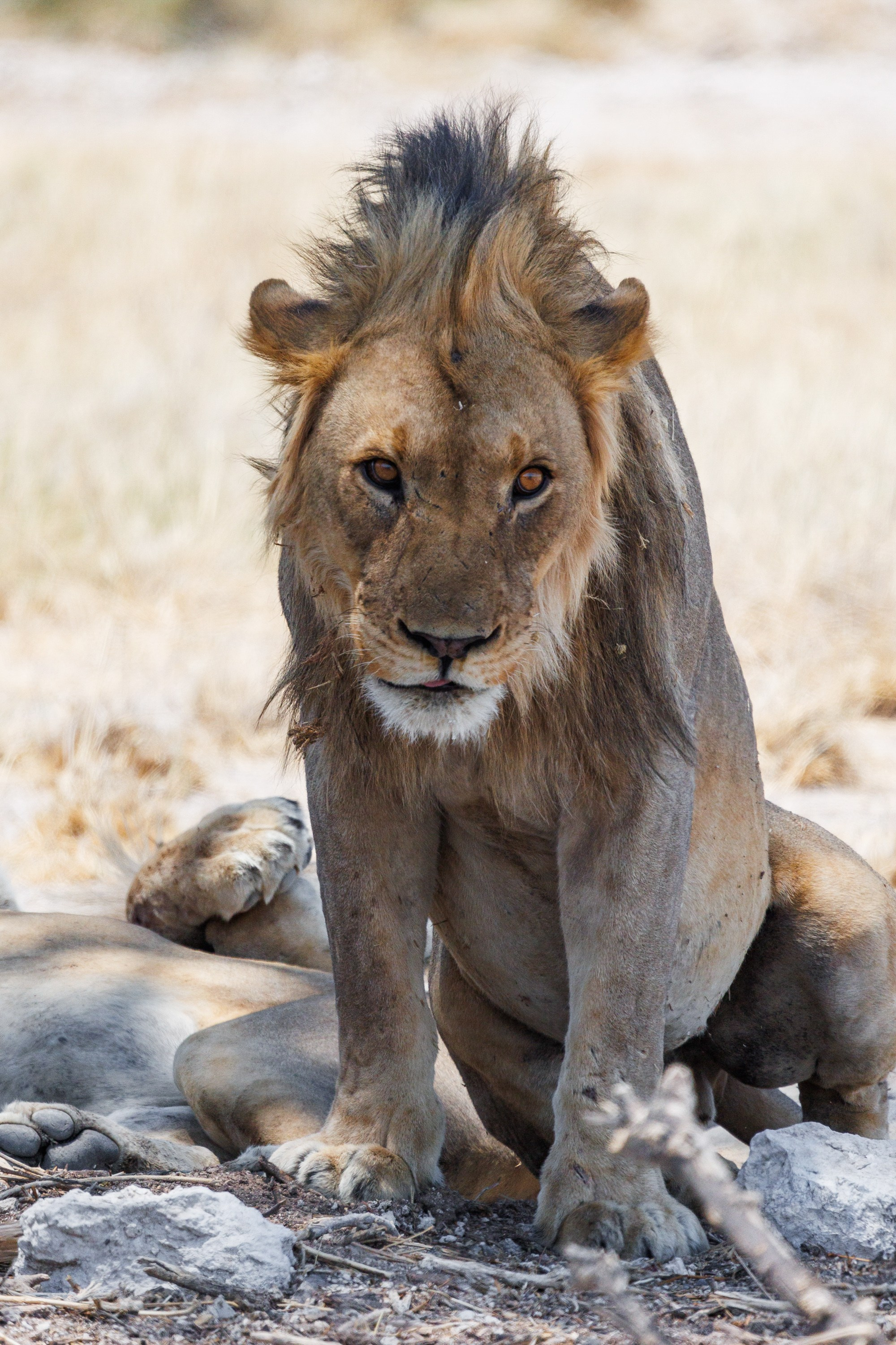 НАМИБИЯ. Роадтрип