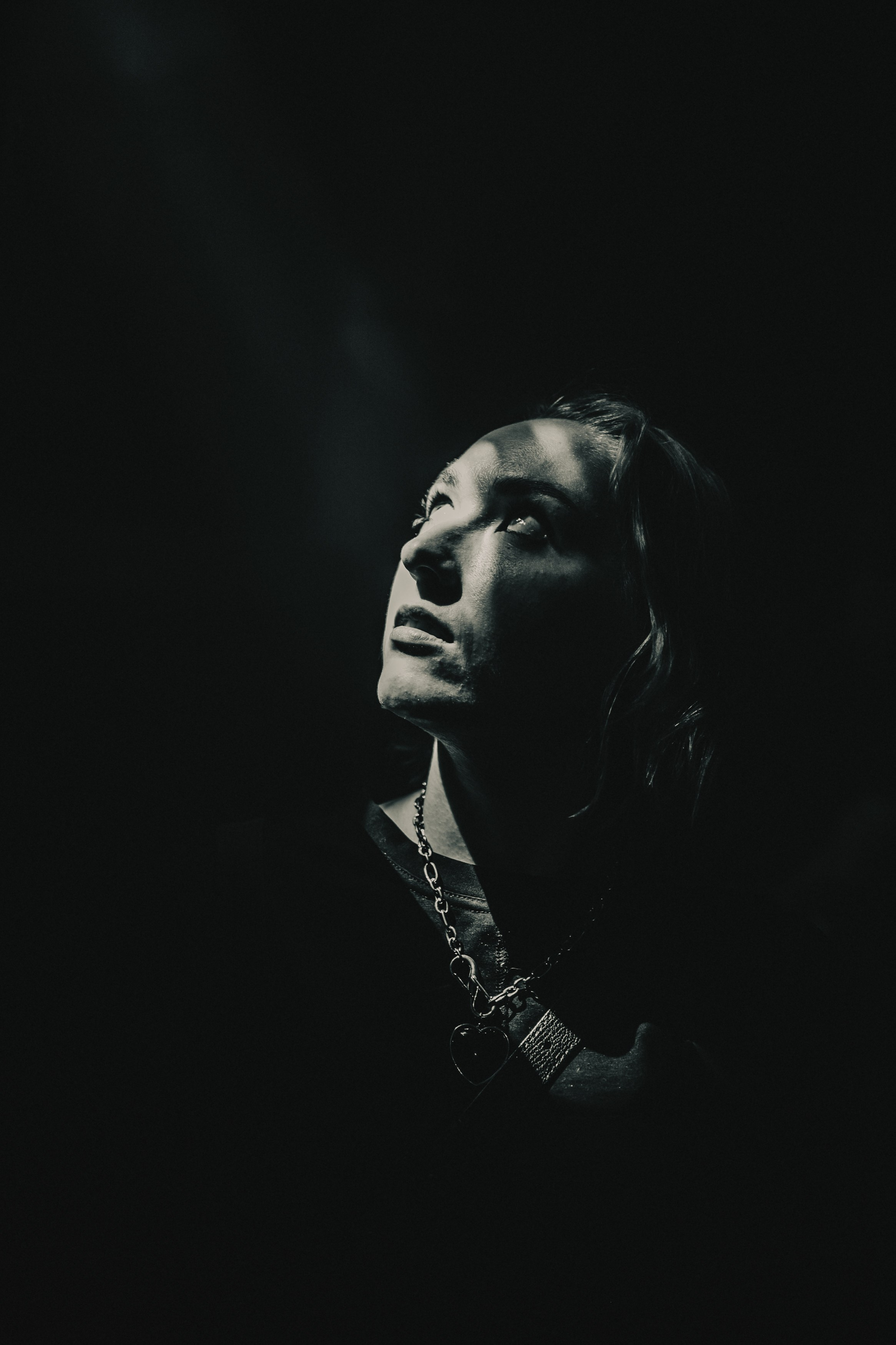 Дельфин | Gaudi. Контент фотограф Илья Урс