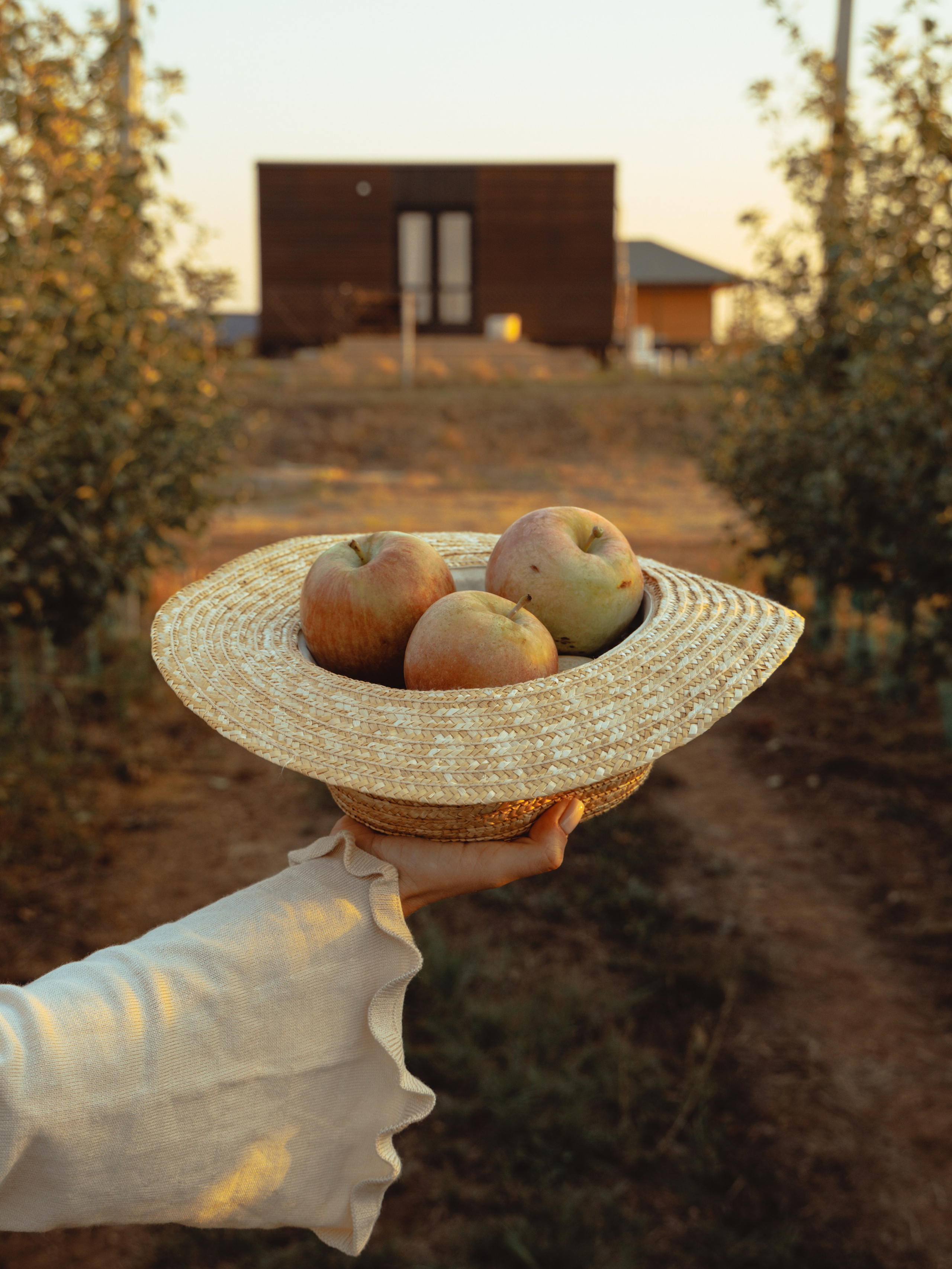 Domik в саду. Артем Корнев Фотограф