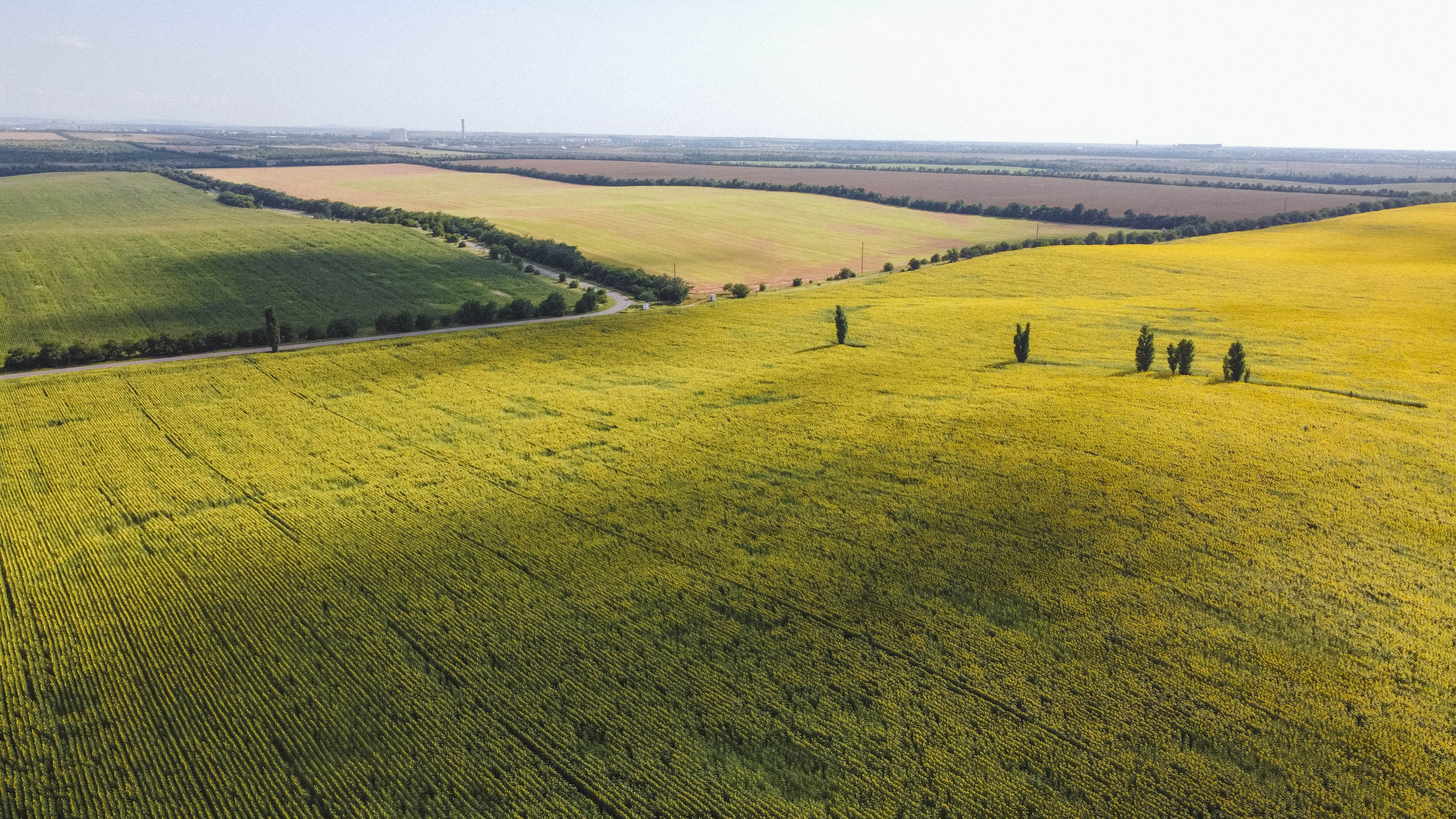Nature. Артем Корнев Фотограф