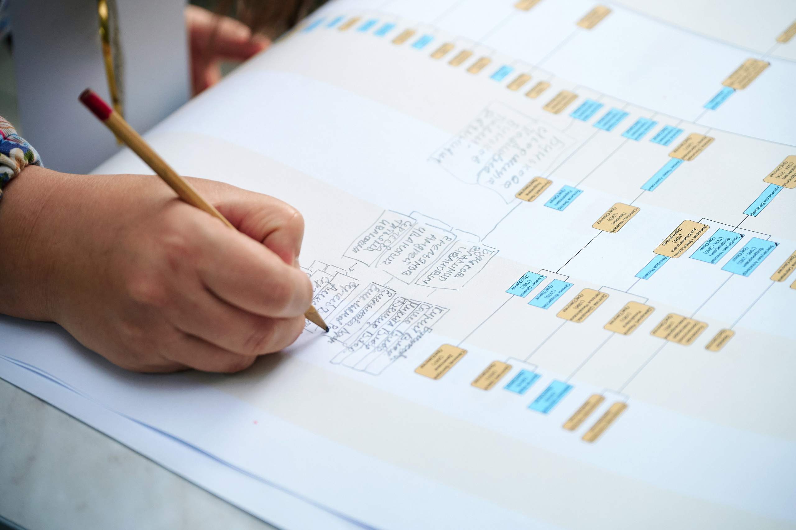 Ощепковы. Встреча рода. Фотограф Опыт Качество Скорость Горный Алтай Барнаул