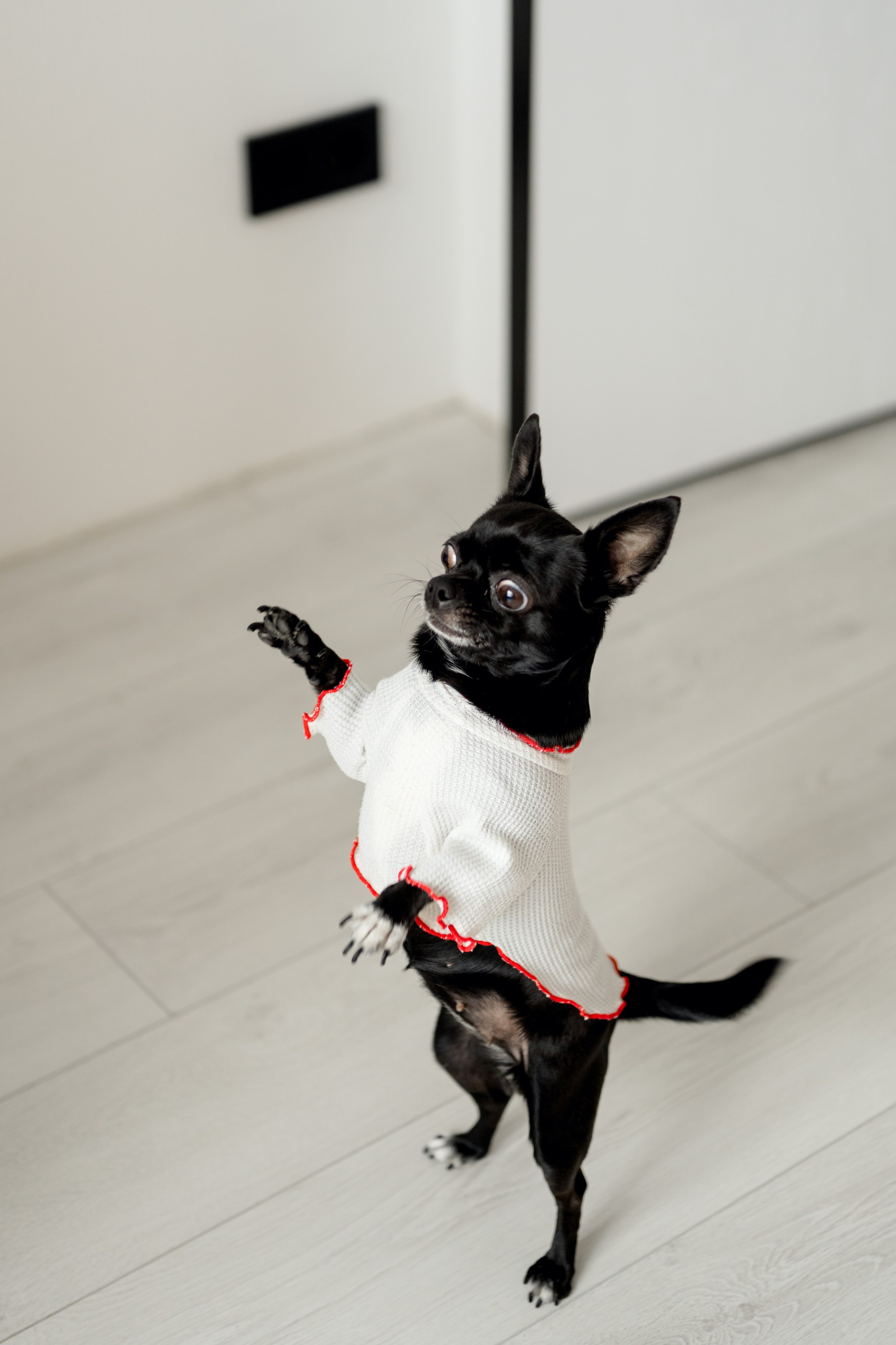 Лея. Phototsareva.ru