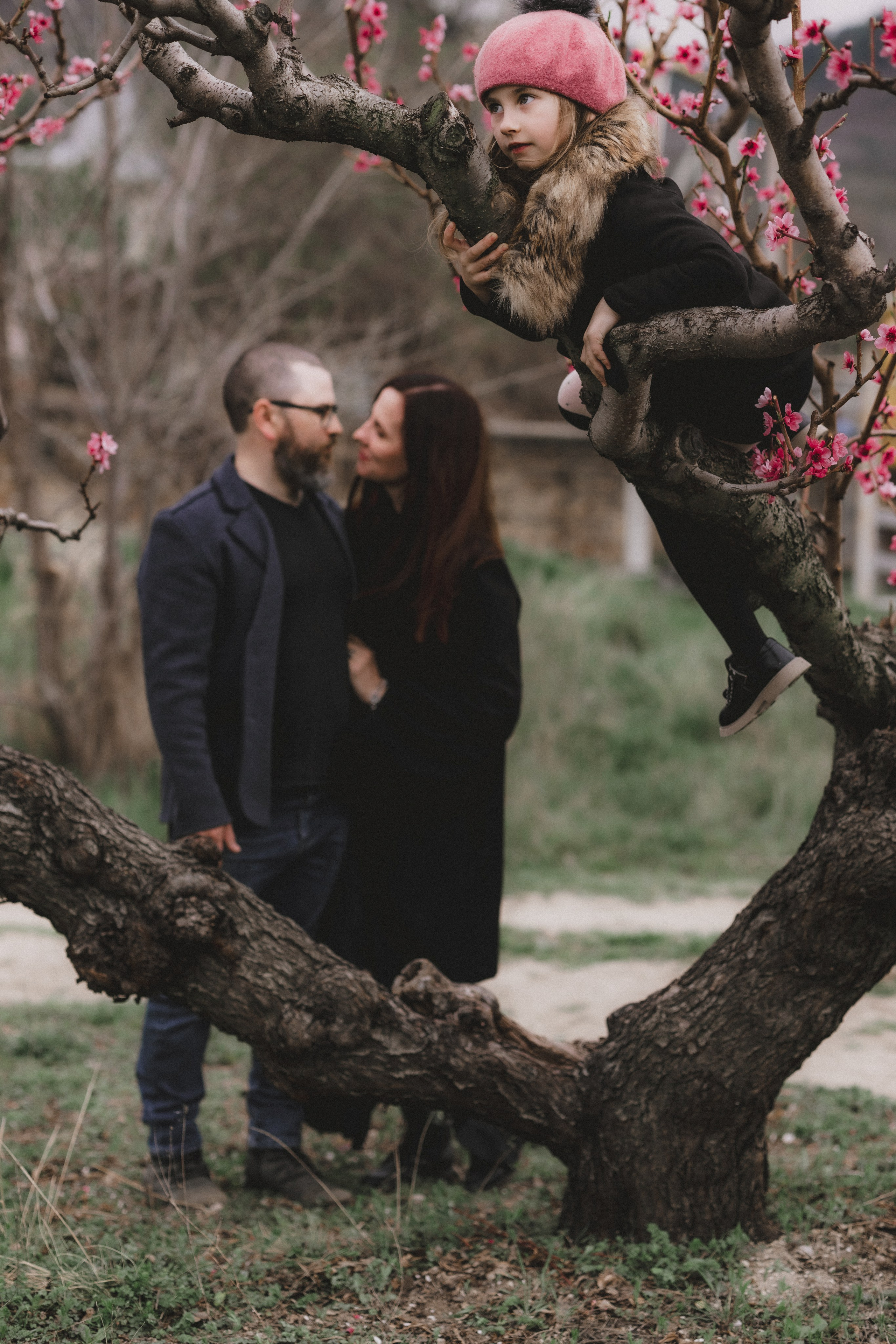 Персики. Фотограф